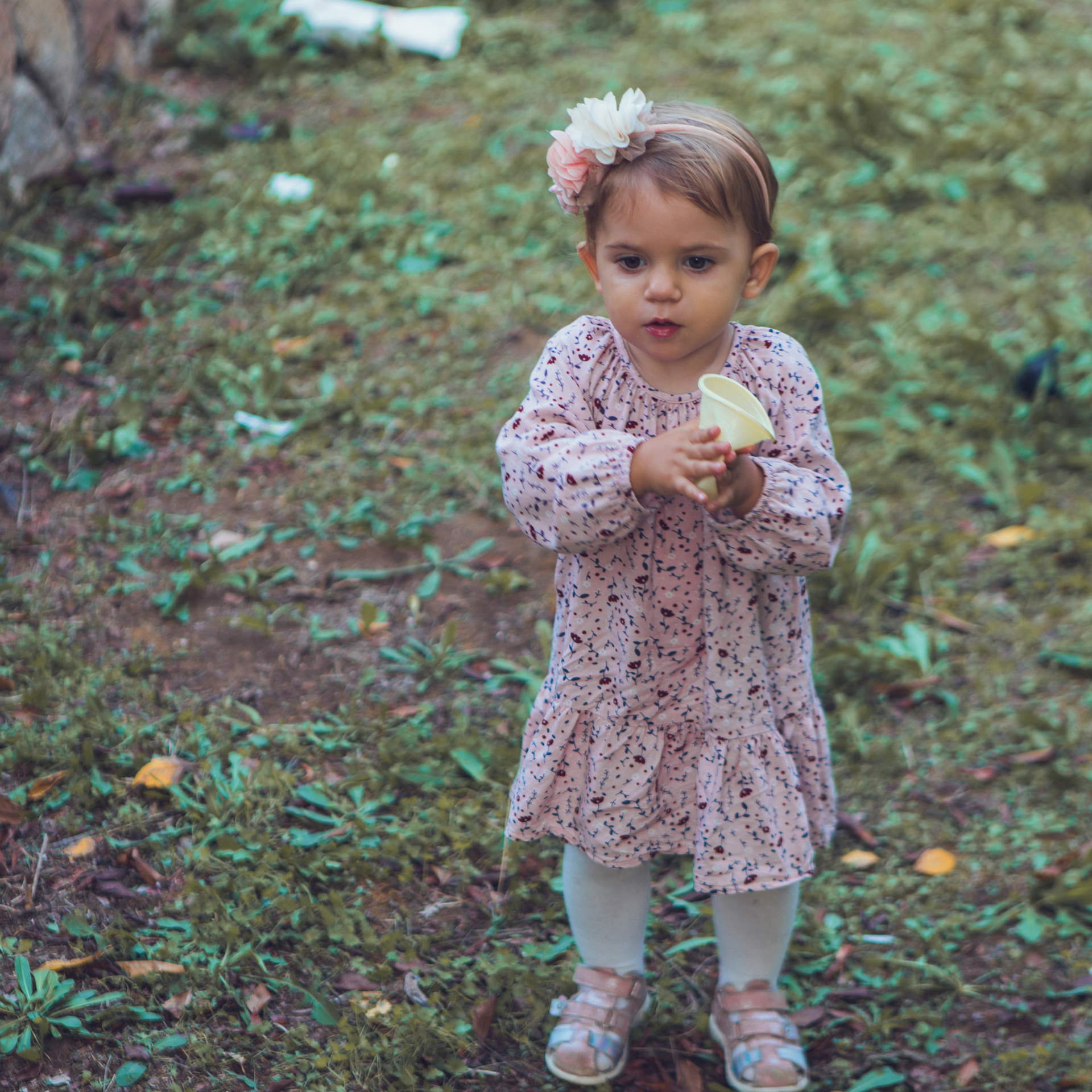 Testimonials. Professional photographer based in Rome