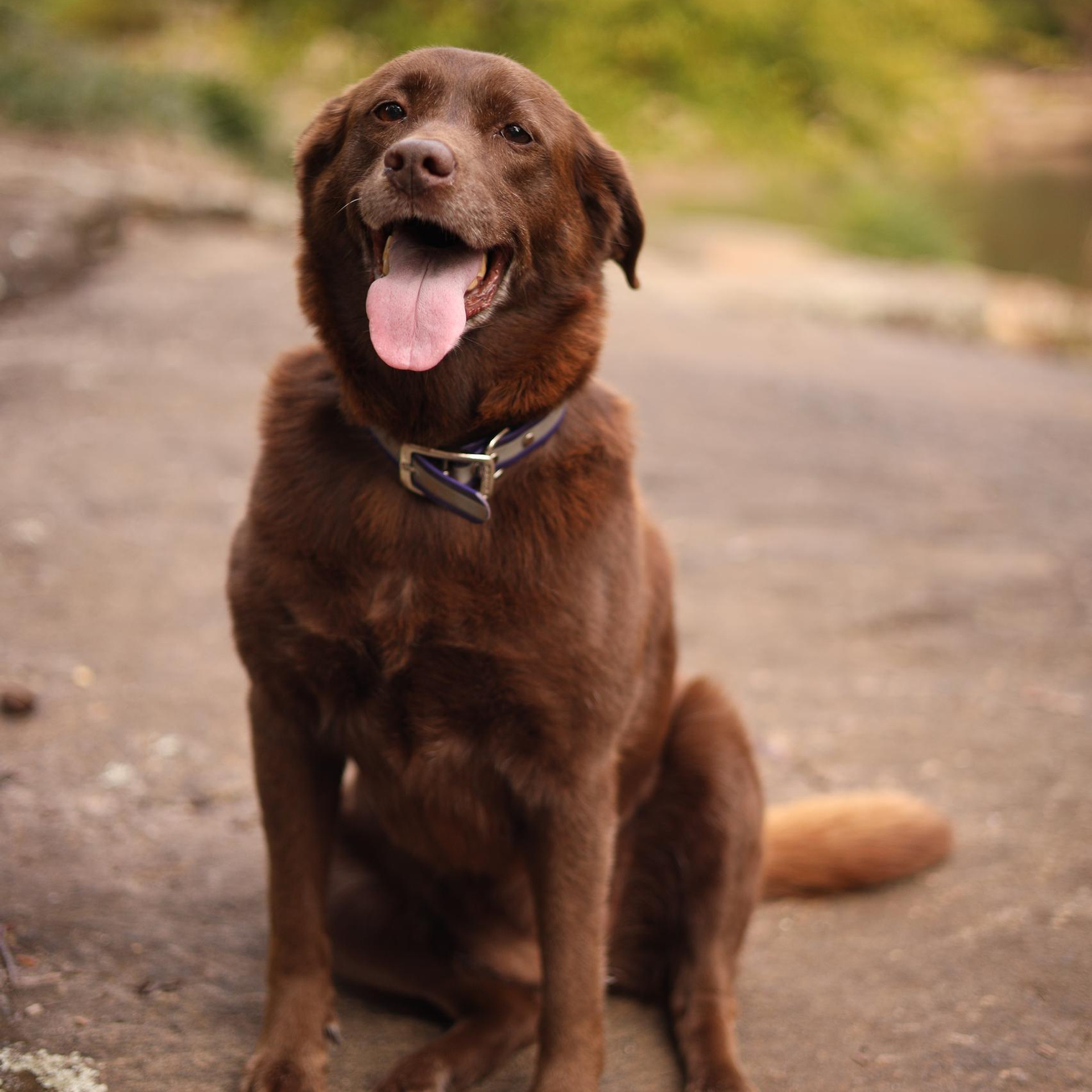 Testimonials. Wedding and portrait photography in Greenville SC