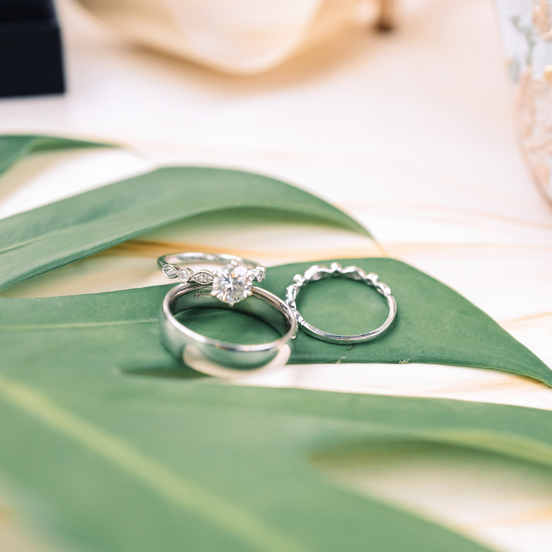 Testimonials. Wedding and portrait photography in Greenville SC