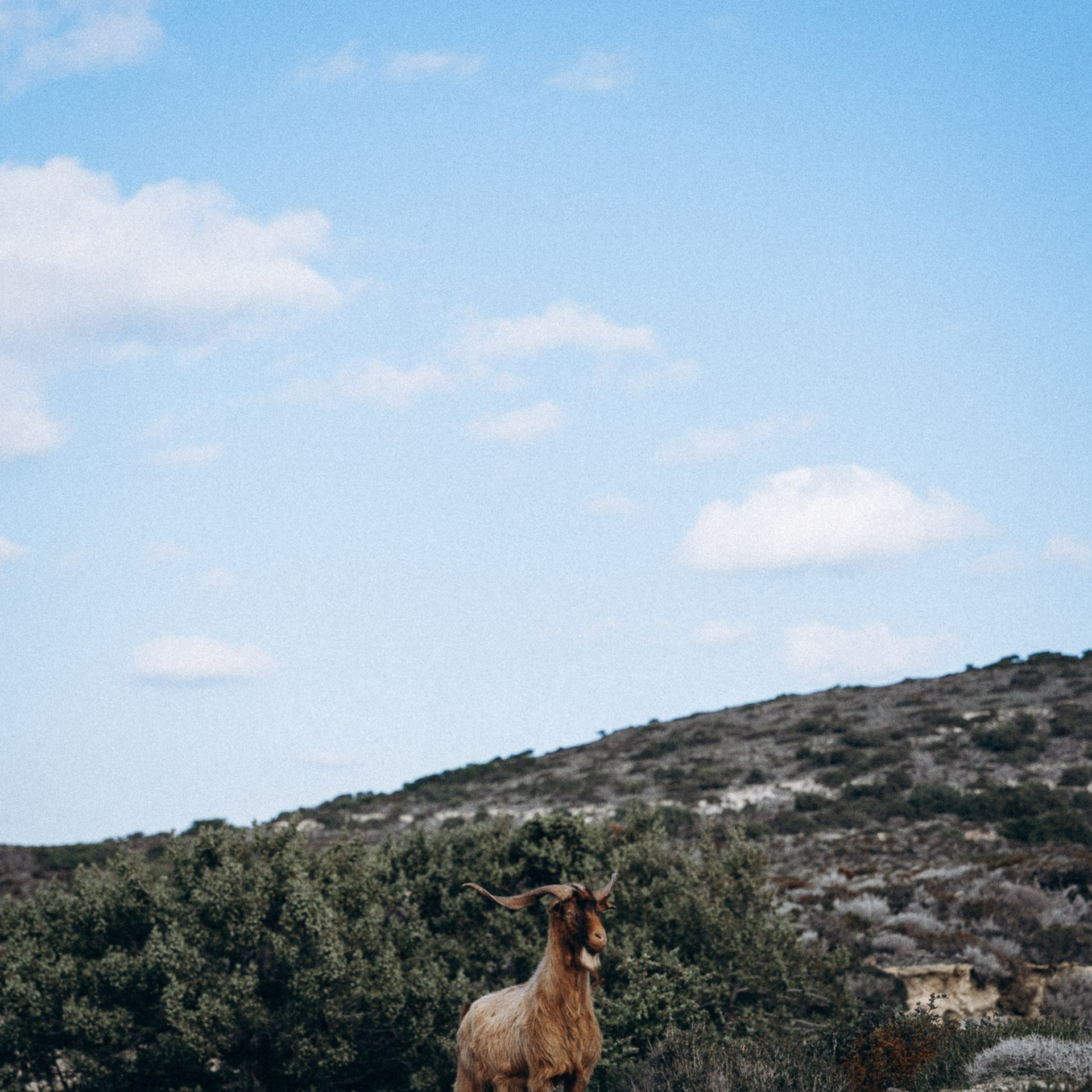 Остров Кос — Греция 🇬🇷. Anita_photo