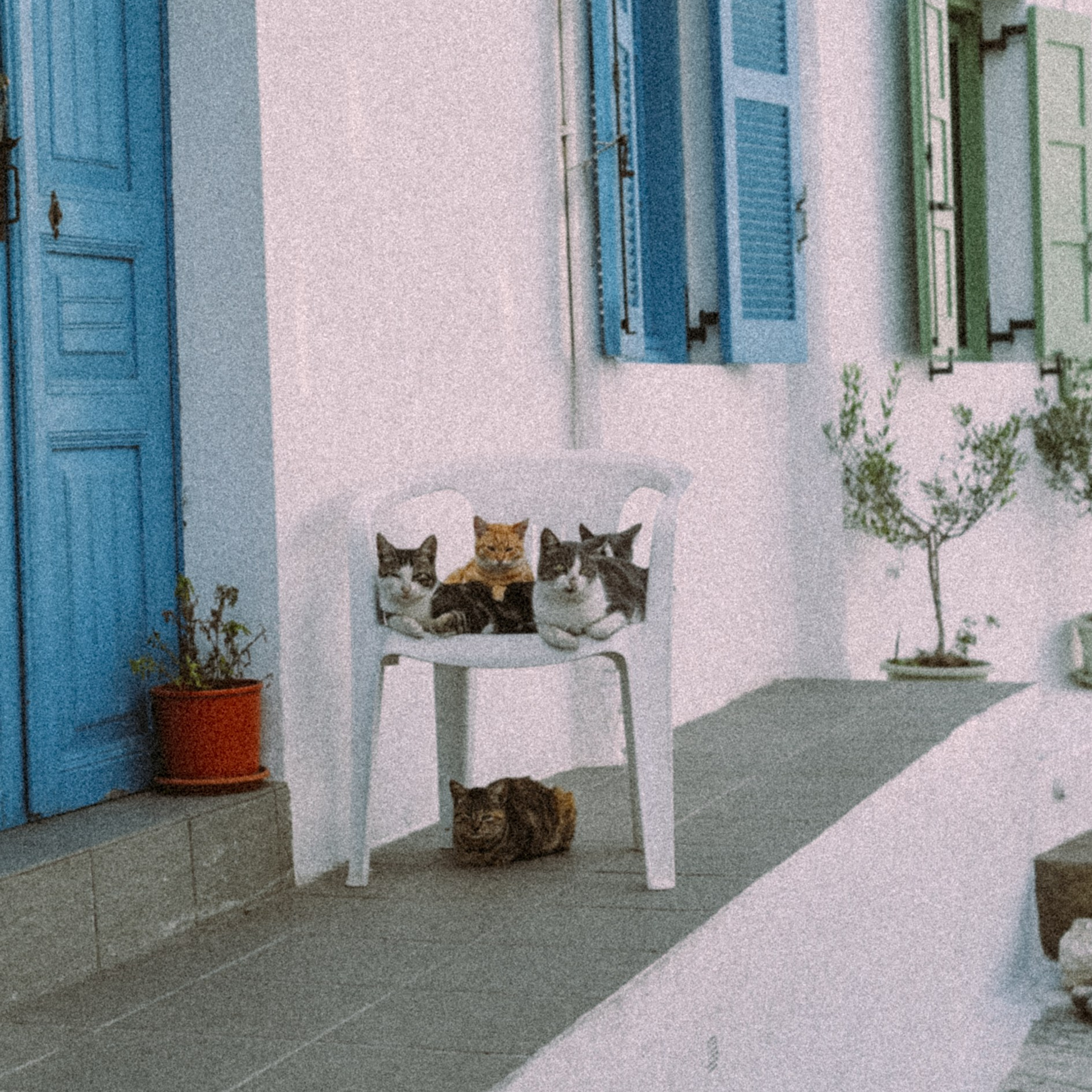 Нисирос. Anita_photo
