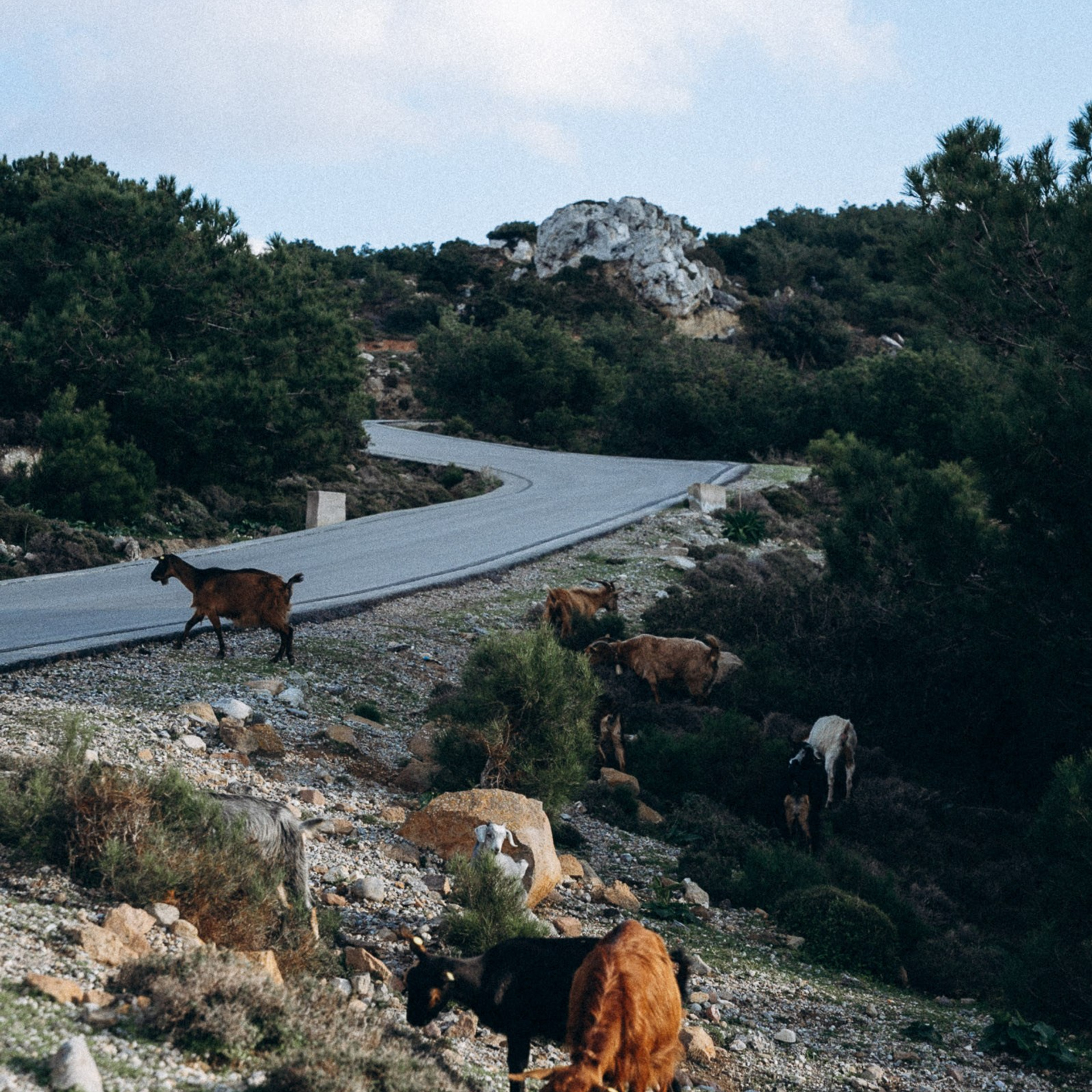 Остров Кос — Греция 🇬🇷. Anita_photo