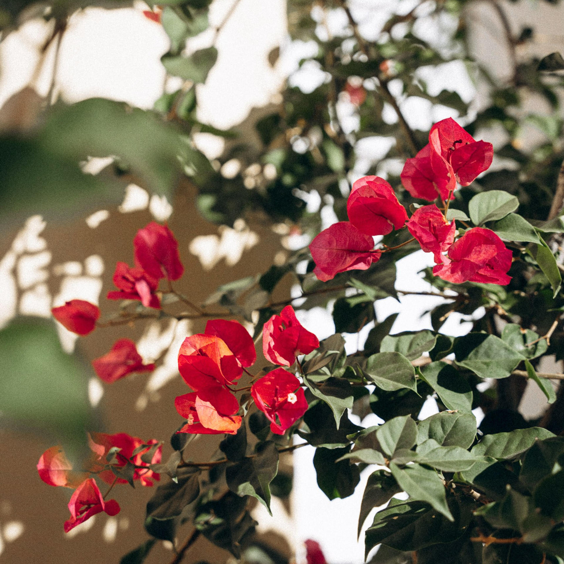 Остров Кос — Греция 🇬🇷. Anita_photo