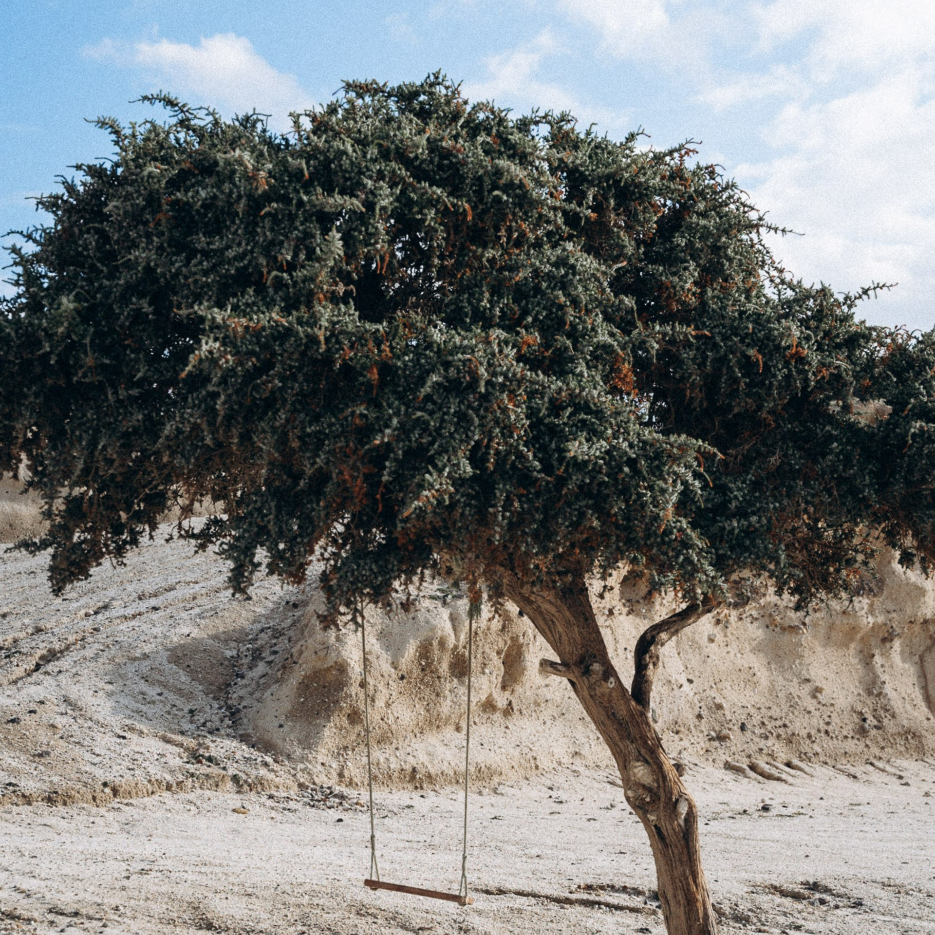 Остров Кос — Греция 🇬🇷. Anita_photo