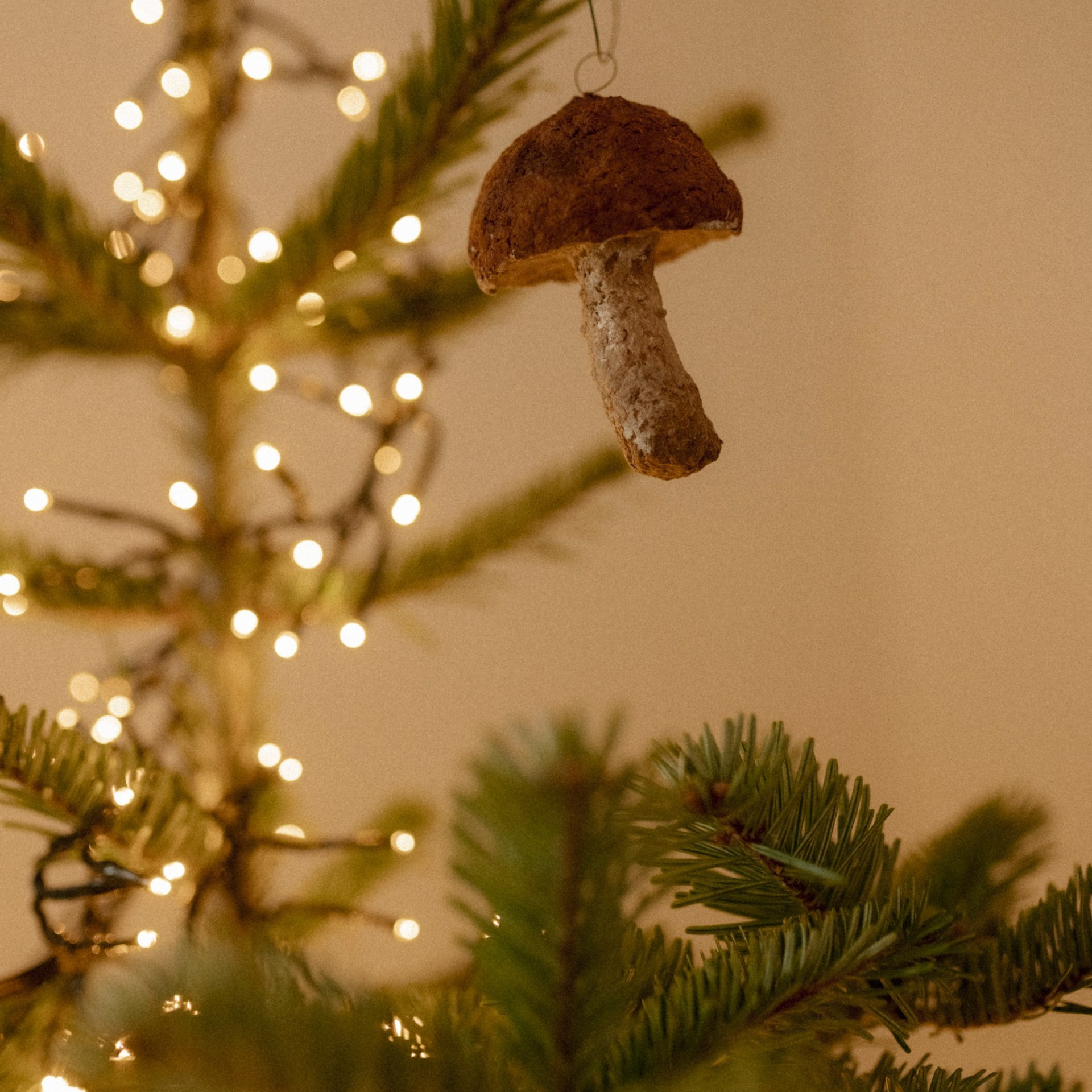 Reviews. Polina Sobol — family & documentary photographer in Bern. Outdoor & urban photo sessions for families, kids and couples