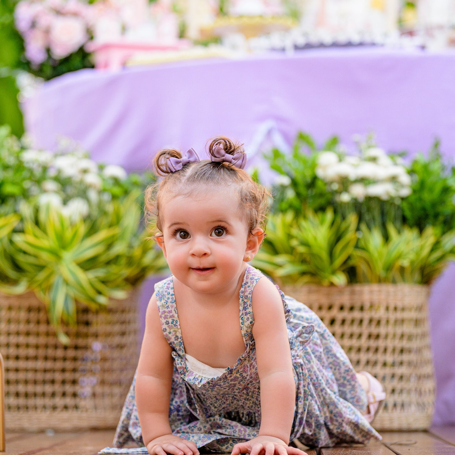 Maria Teresa — 1 Aninho