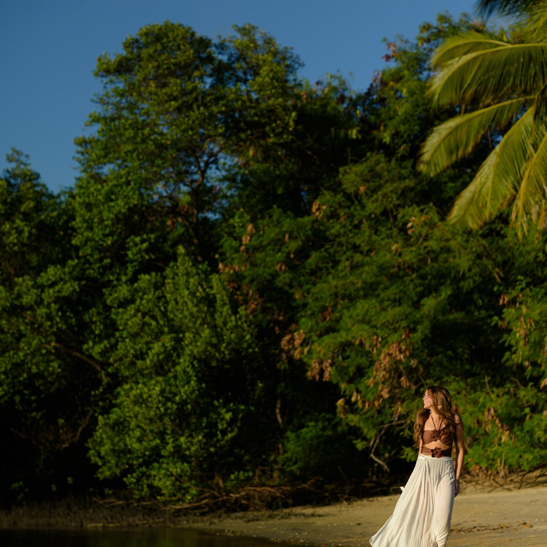 Lívia XV — Ensaio