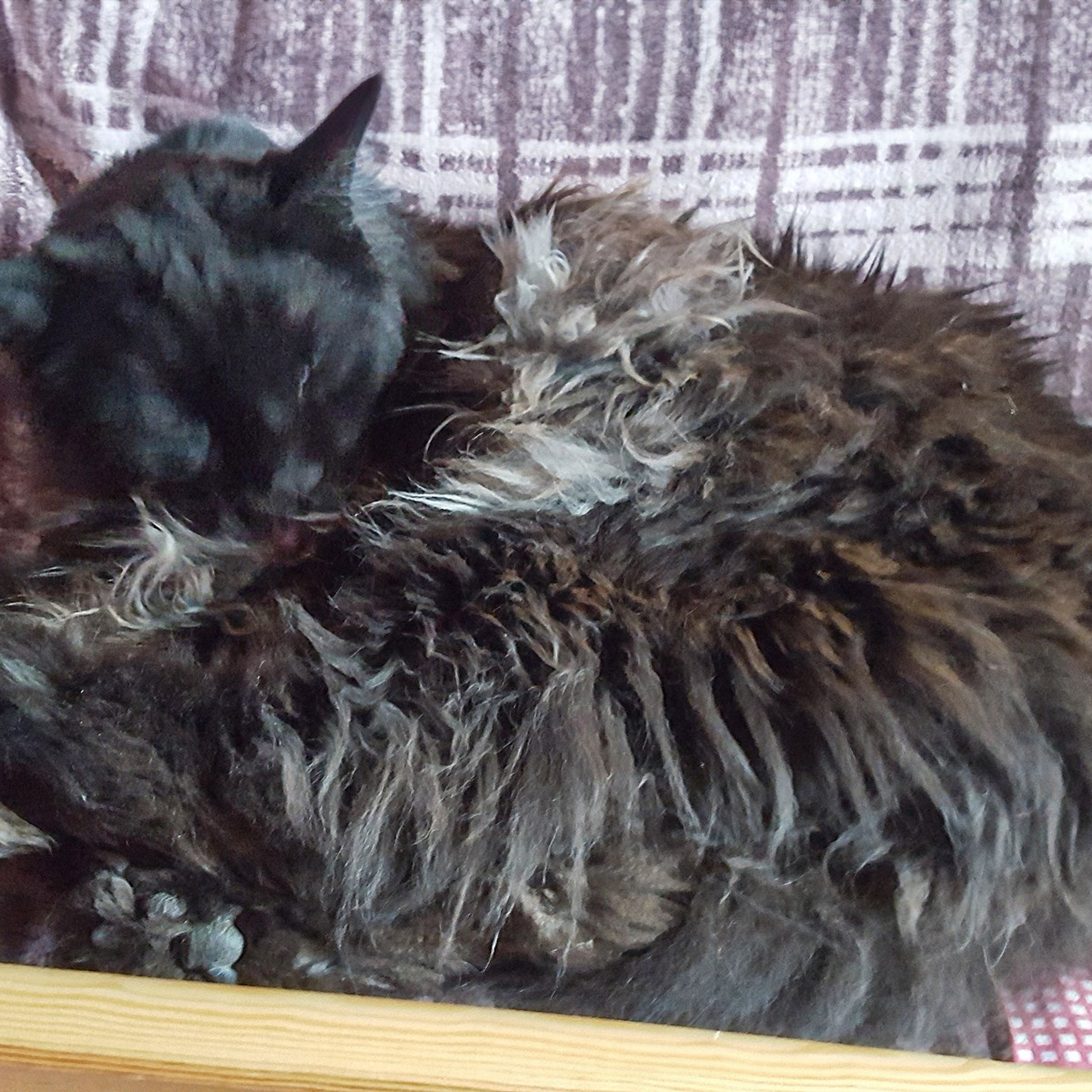 Отзывы. Семейный фотограф и фотограф новорожденных в Вильнюсе Ирина Беленкевич