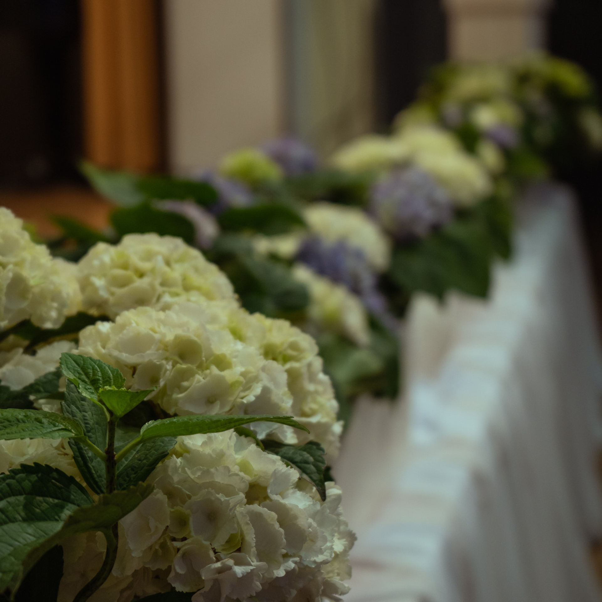 Kundenbewertungen. Gantman Photography | Hochzeits- & Portraitfotografin Dresden & Sachsen – cineastisch & authentisch