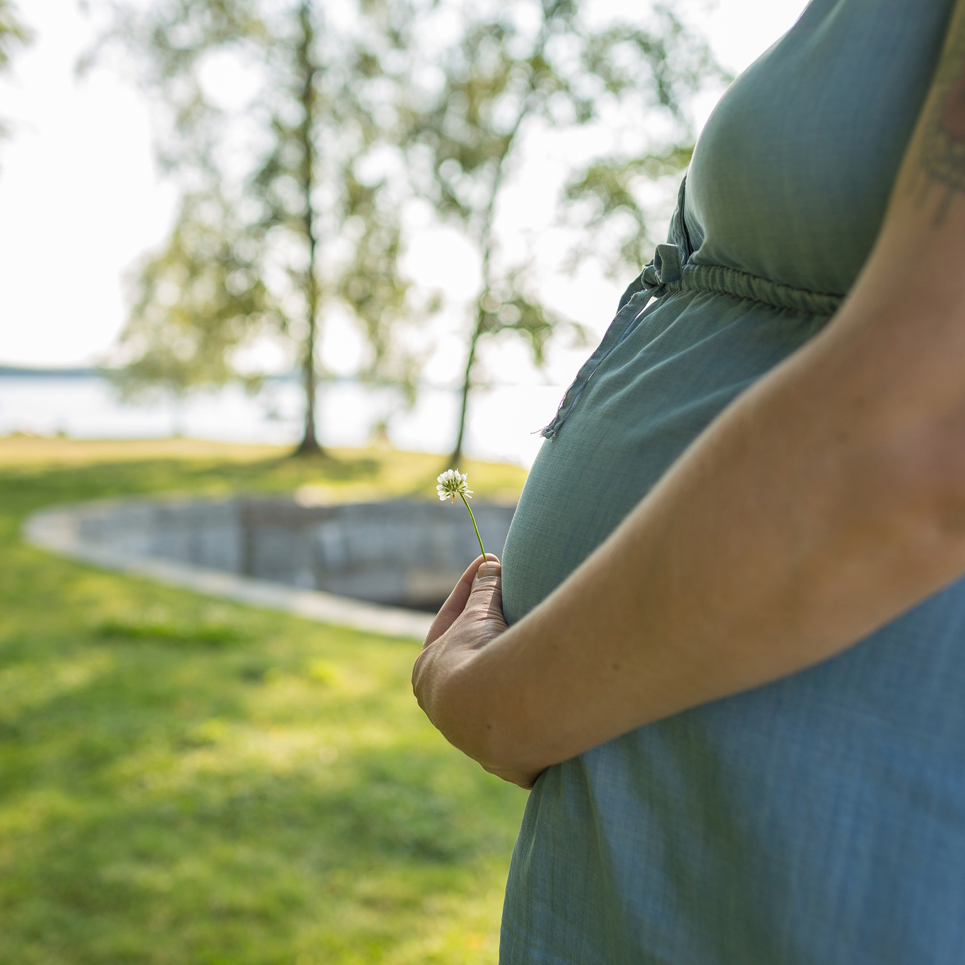 Palautteet. Senjakulmala.fi