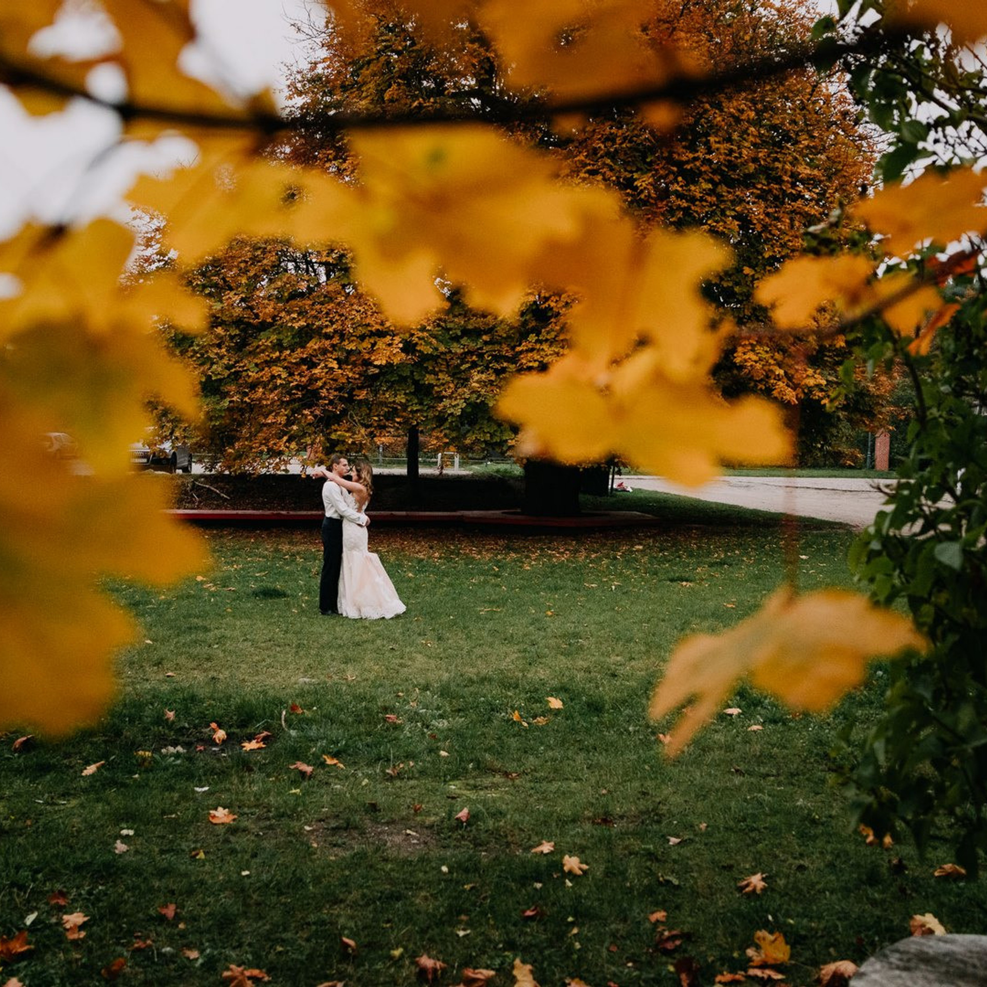 OPINIE • Szpakowicz-studio.pl - Fotograf Aleksander Szpakowicz. Fotograf Ślubny Warszawa - Sesje Biznesowe Rodzinne Eventy