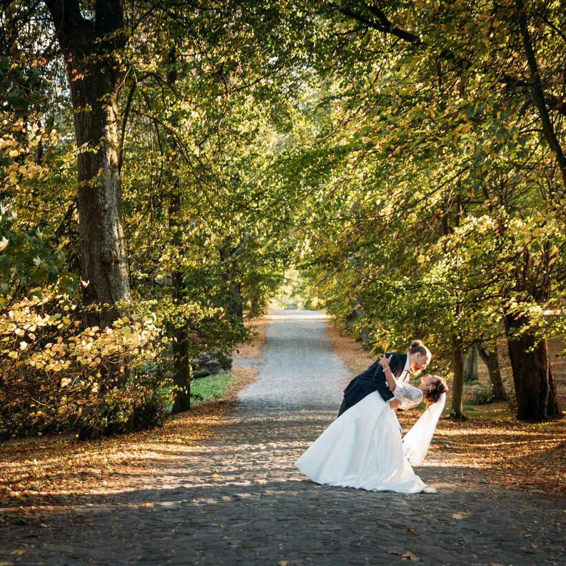 OPINIE • Szpakowicz-studio.pl - Fotograf Aleksander Szpakowicz. Fotograf Ślubny Warszawa - Sesje Biznesowe Rodzinne Eventy