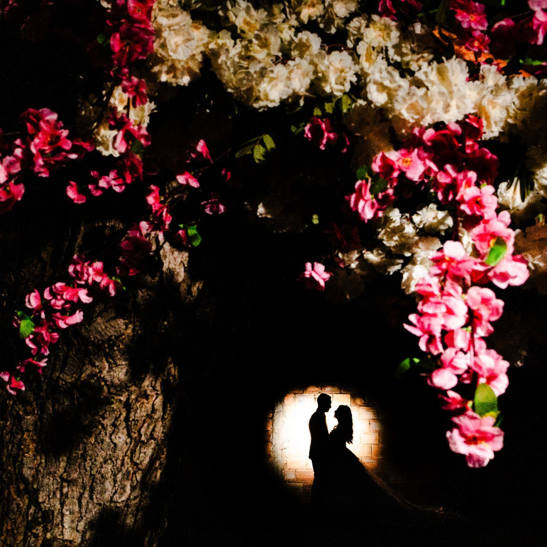 Premiações Internacionais. Fotografia de casamento em Belo Horizonte