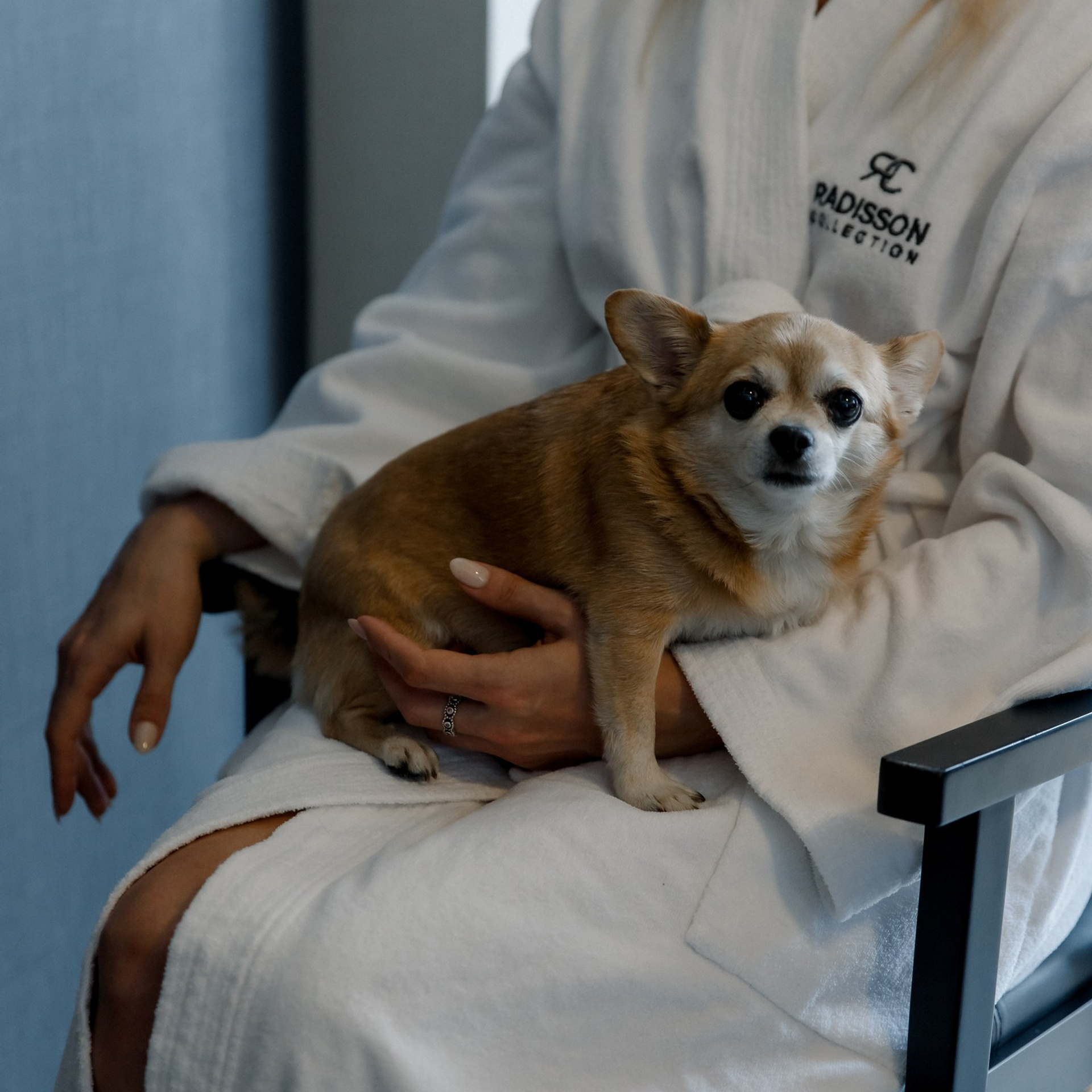 Comments. Wedding and family photographer Alex Glushakov