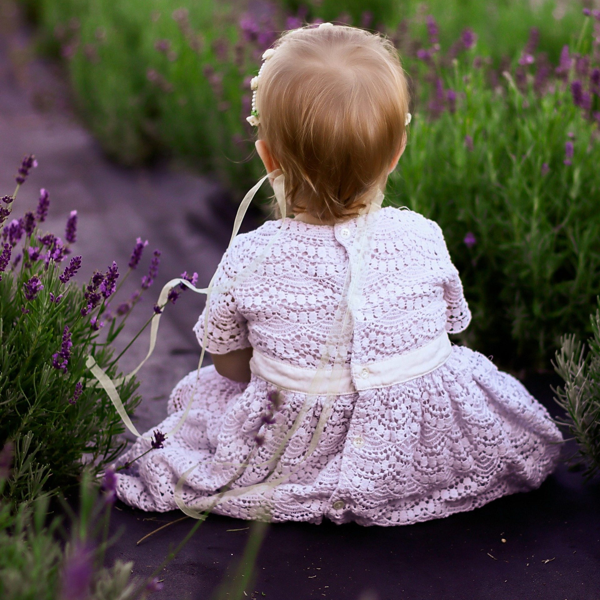 Отзывы. Фотограф / Даугавпилс / Ольга Антонова