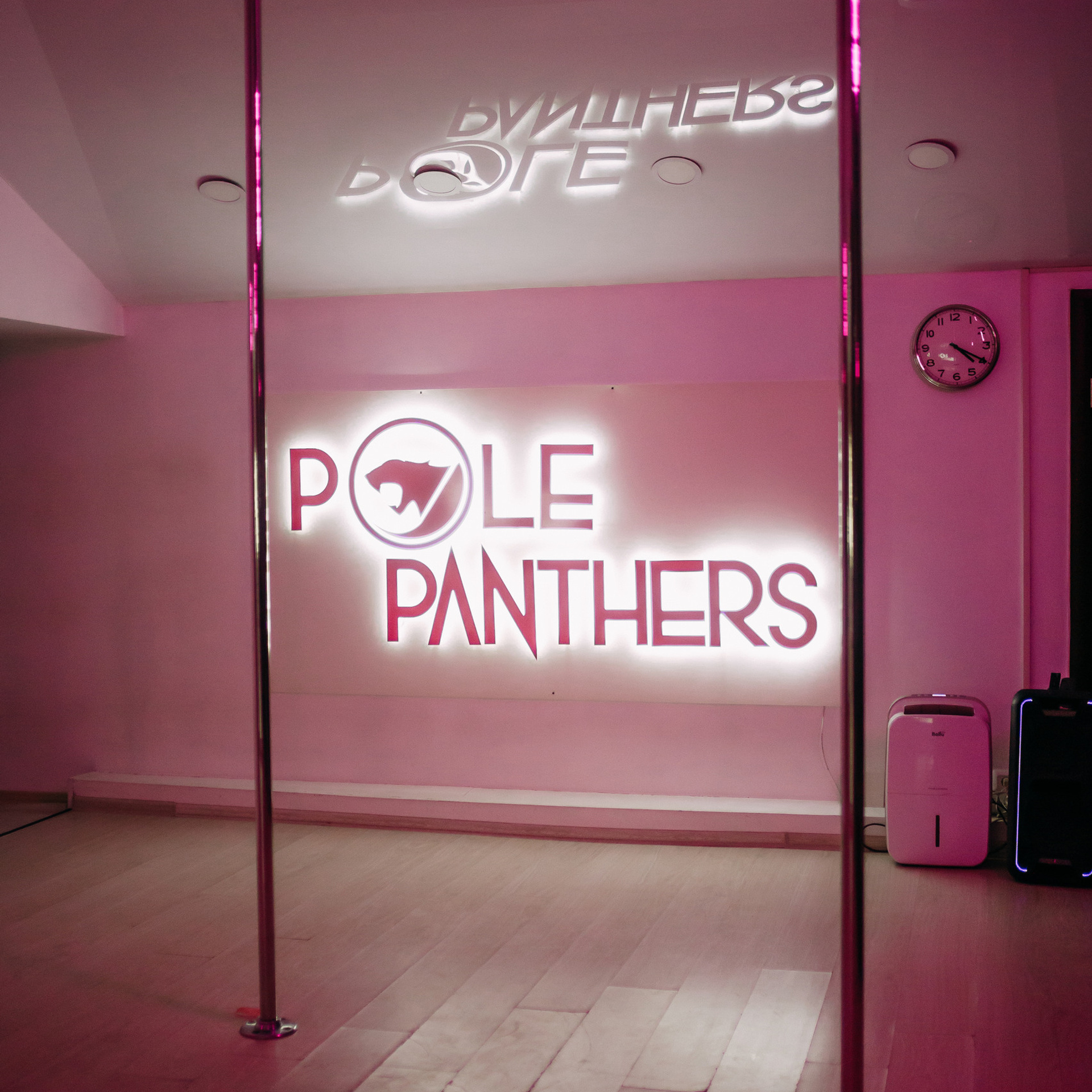 Отзывы. Professional photographer in Minnesota, Alina Volkova