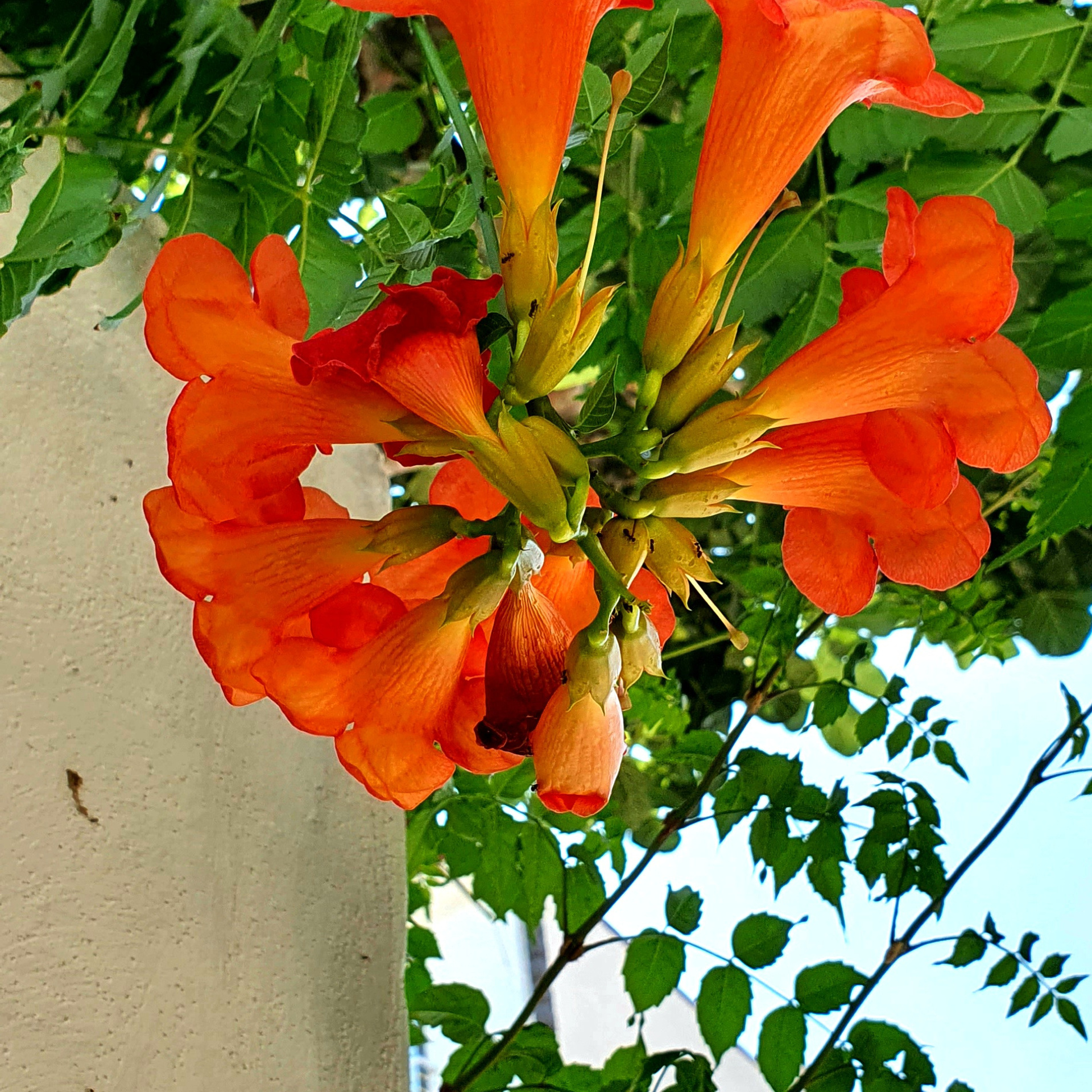 Street фото. Consultation on printing in various magazines, illustrations for books