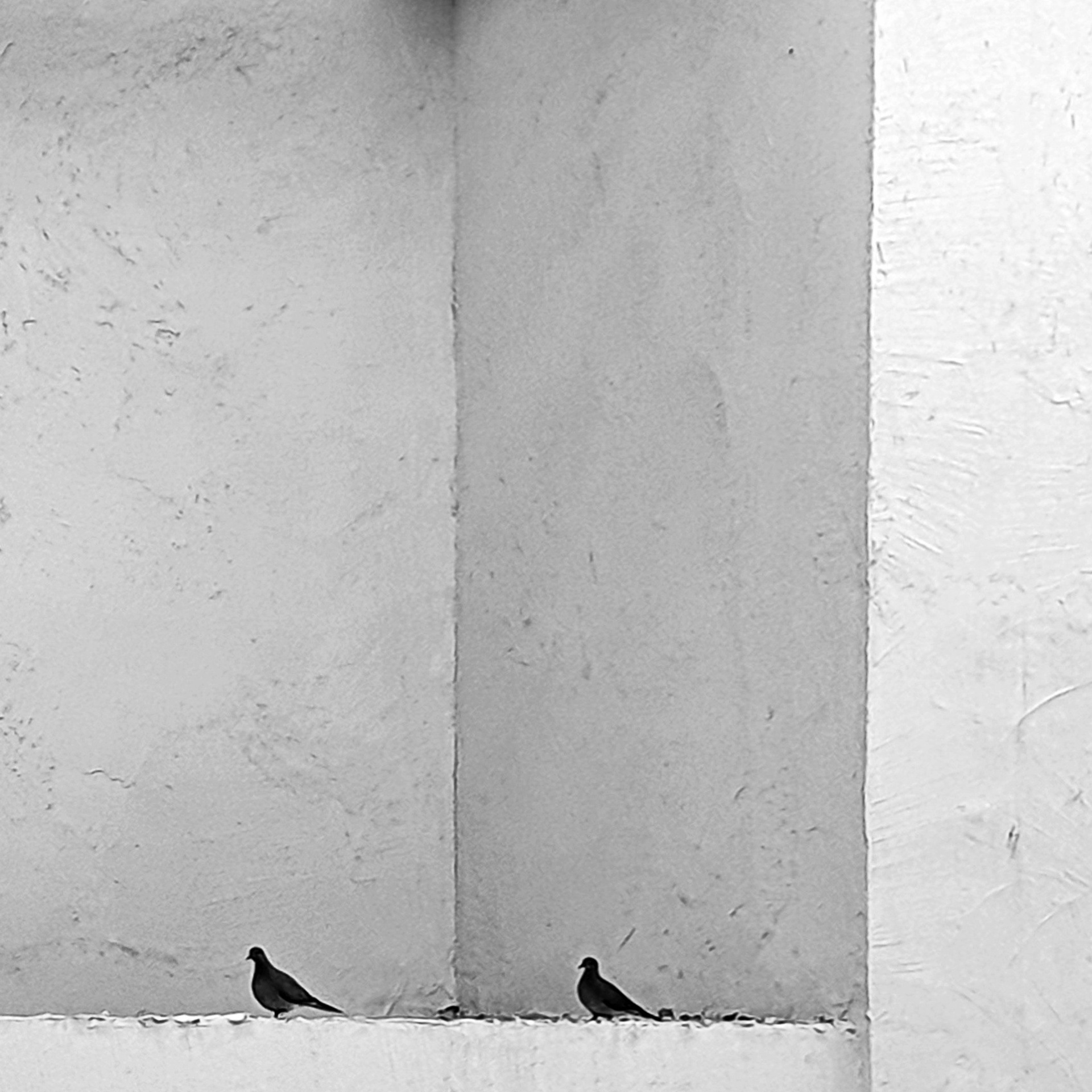 Street фото. Consultation on printing in various magazines, illustrations for books