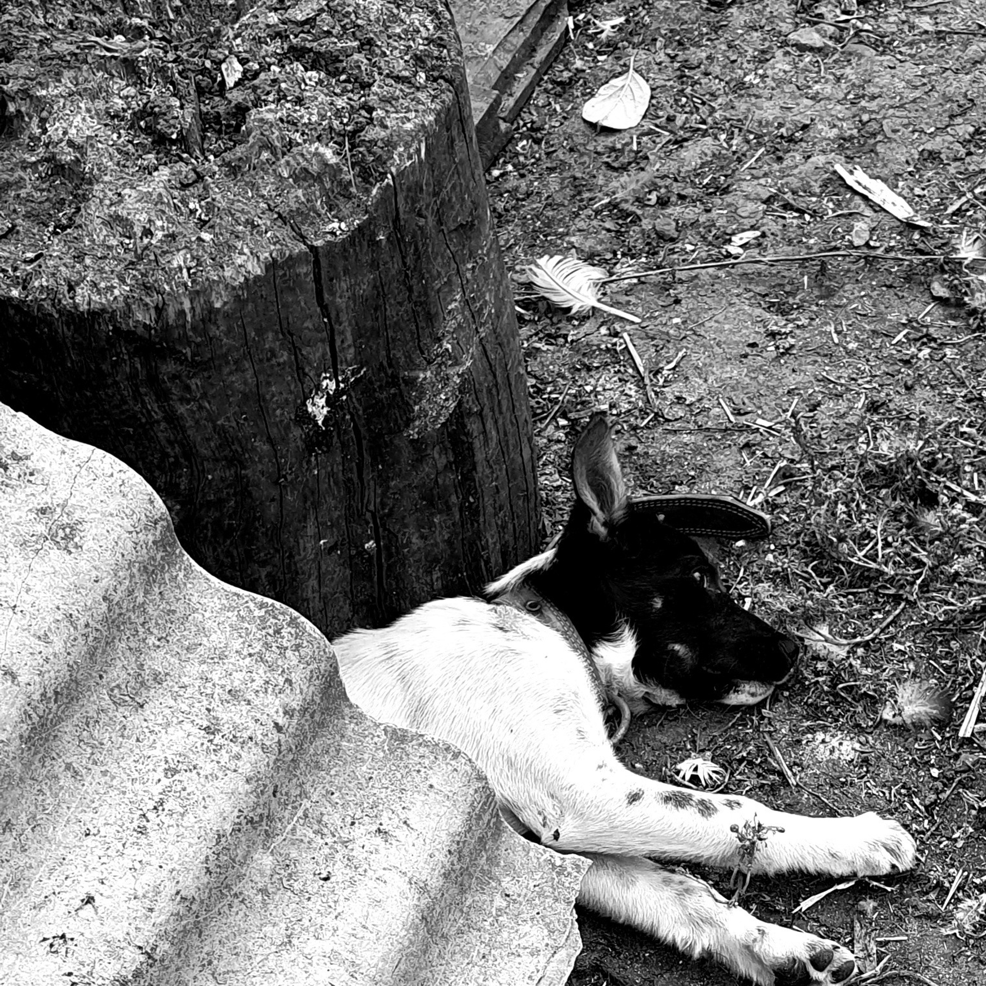 Street фото. Consultation on printing in various magazines, illustrations for books