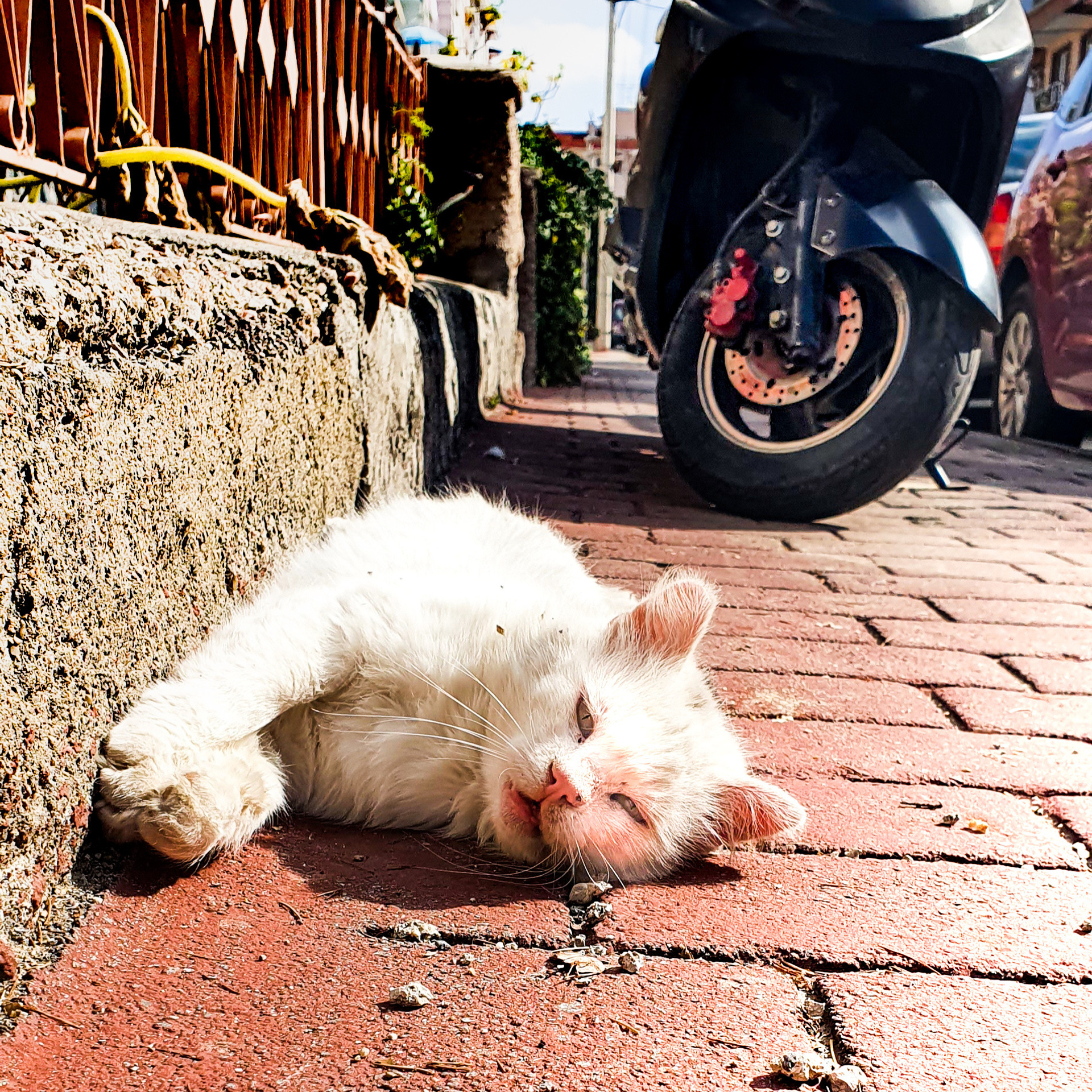 Street фото. Consultation on printing in various magazines, illustrations for books