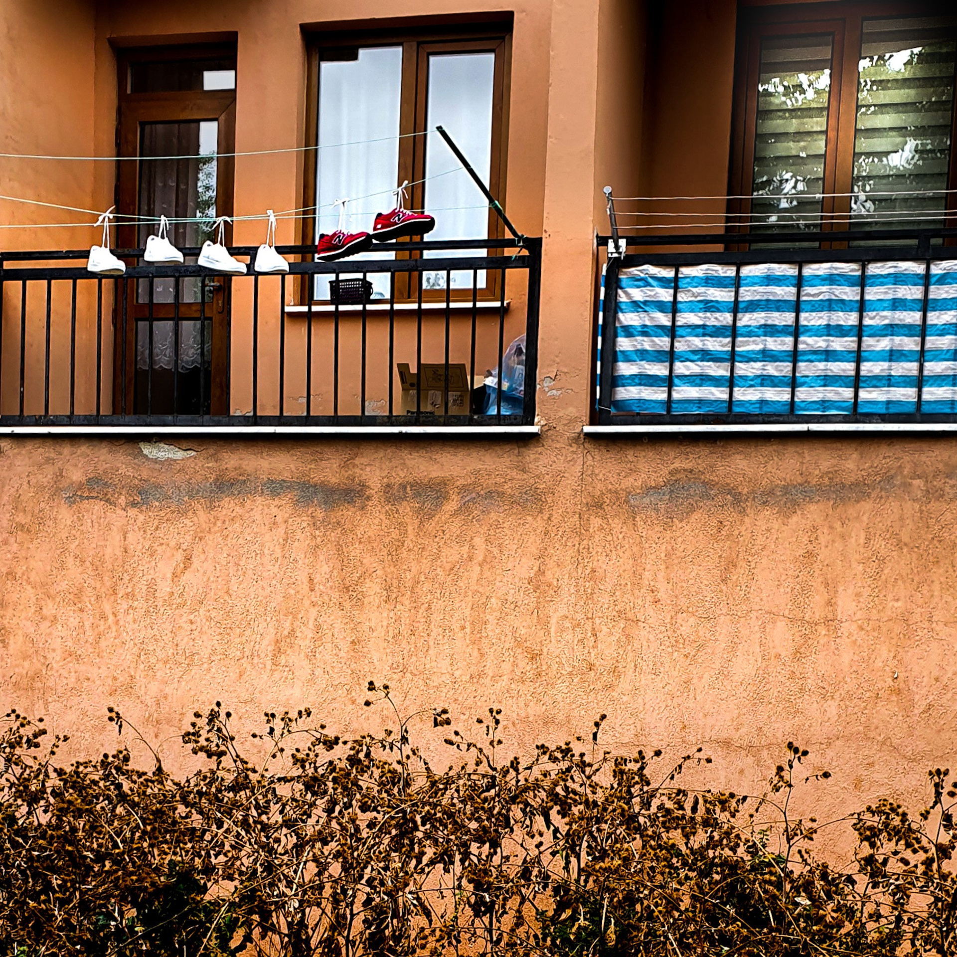 Street фото. Consultation on printing in various magazines, illustrations for books