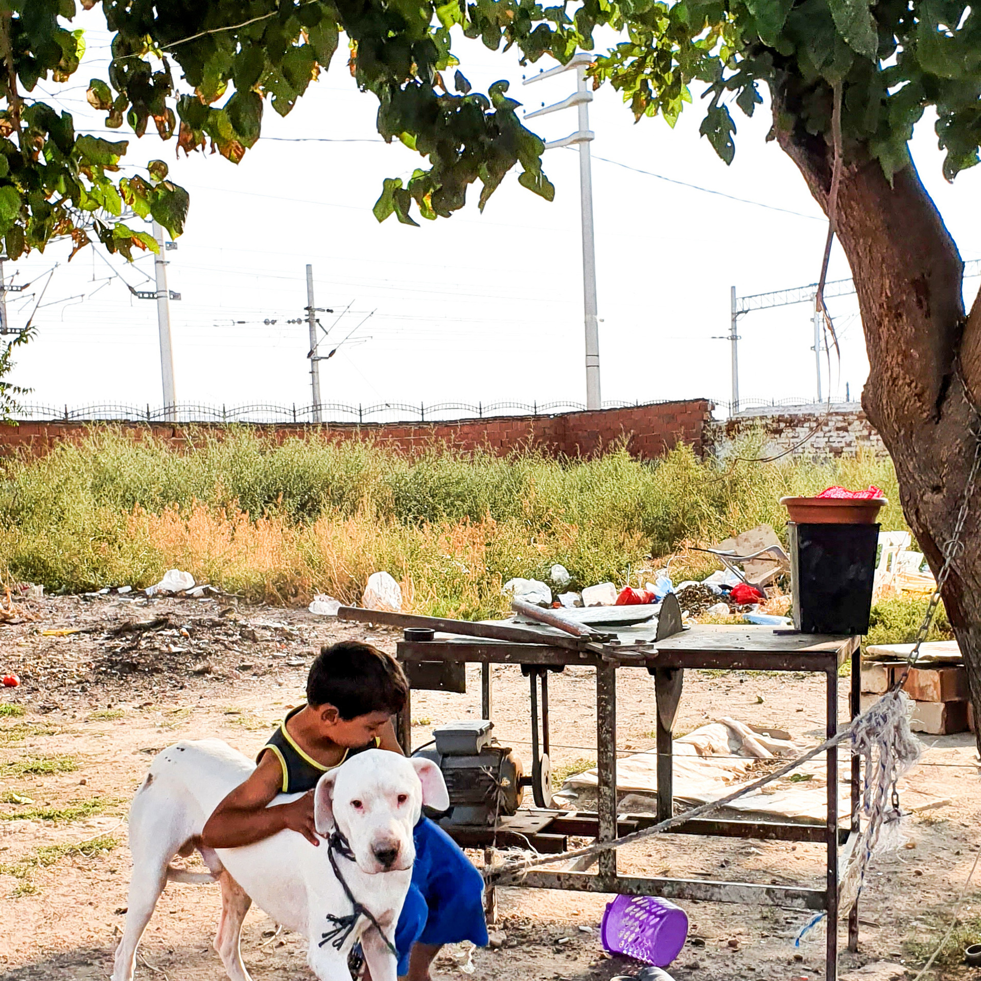 Street фото. Consultation on printing in various magazines, illustrations for books