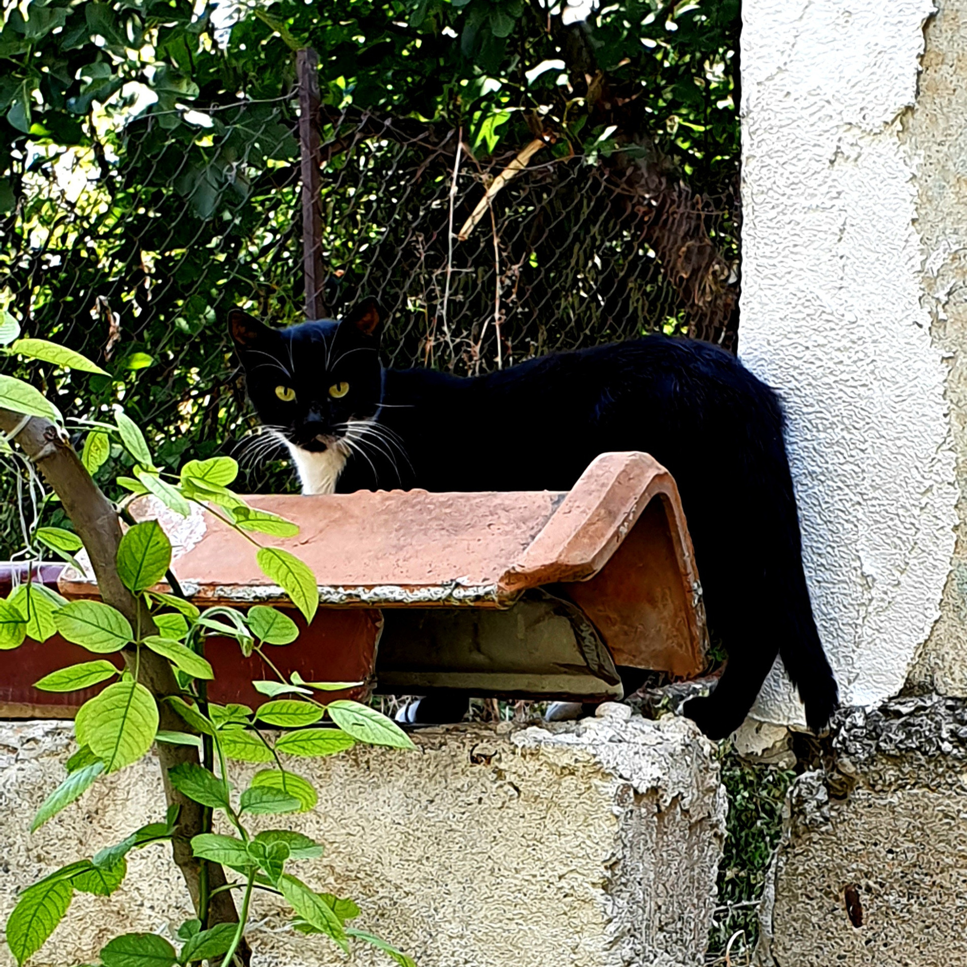 Street фото. Consultation on printing in various magazines, illustrations for books