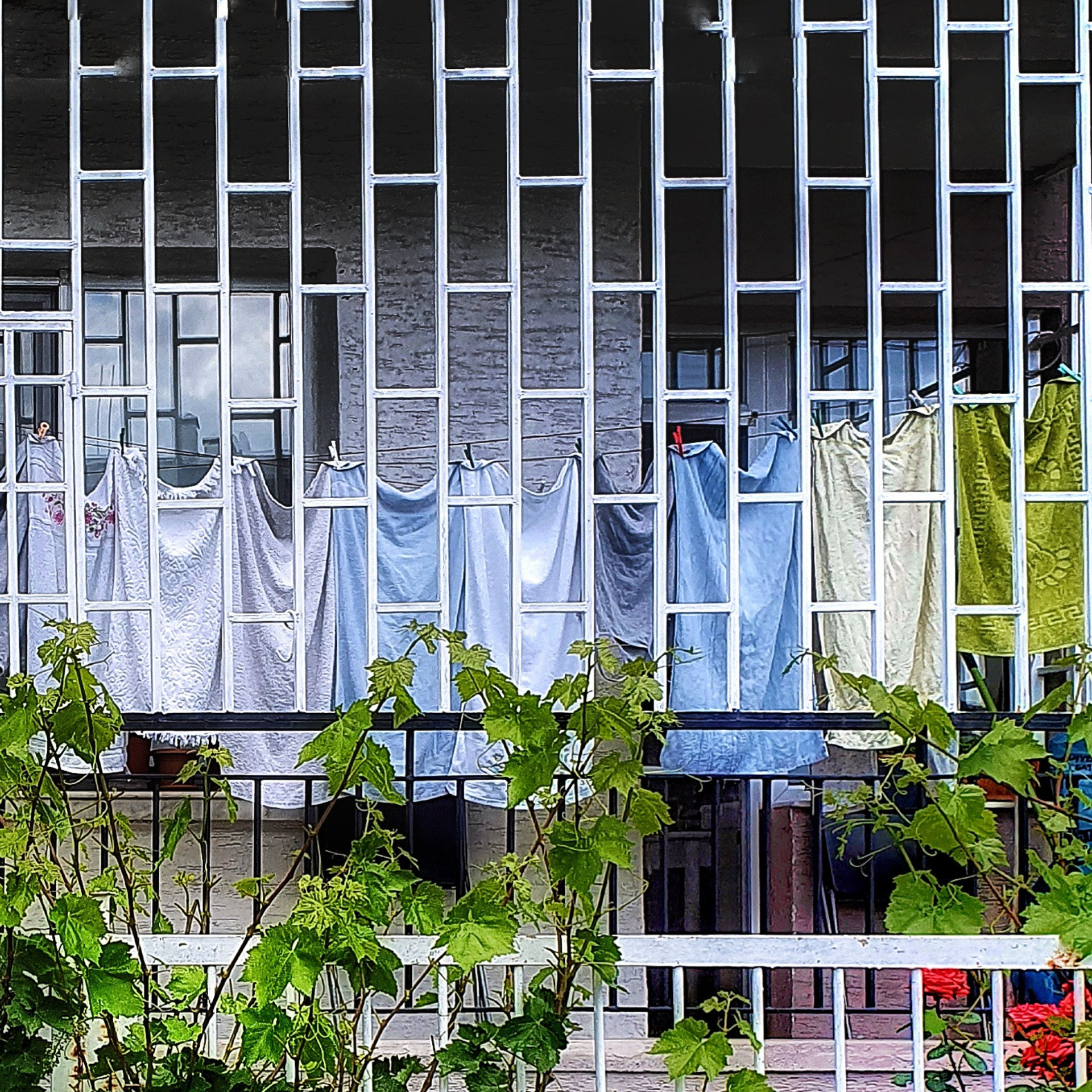 Street фото. Consultation on printing in various magazines, illustrations for books