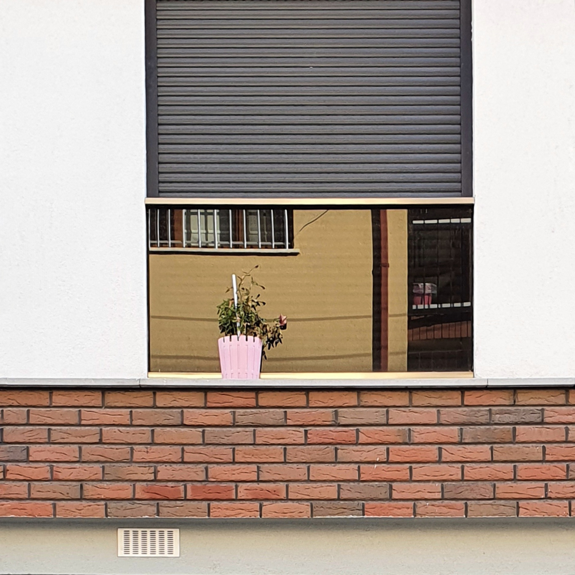 Street фото. Consultation on printing in various magazines, illustrations for books