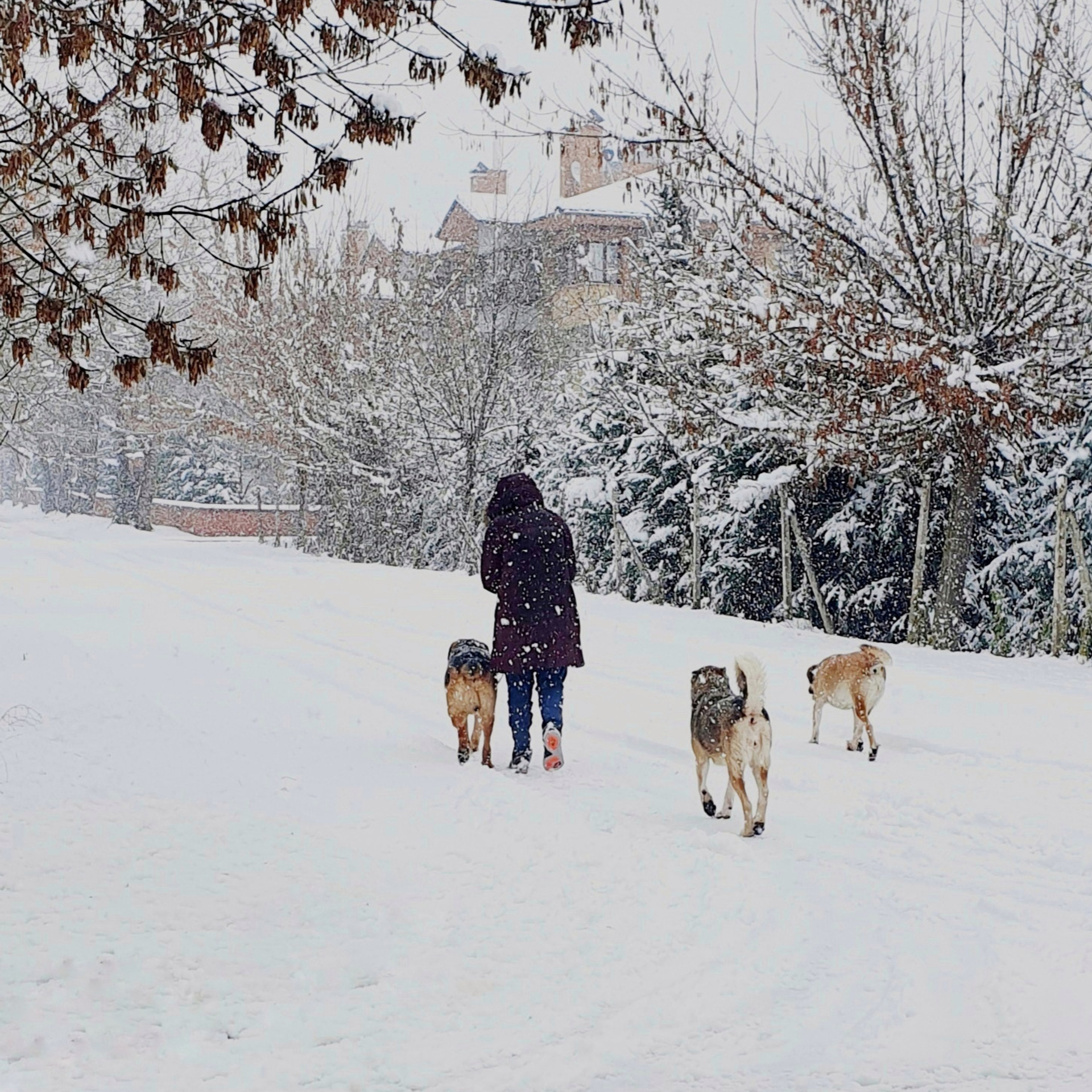 Street фото. Consultation on printing in various magazines, illustrations for books