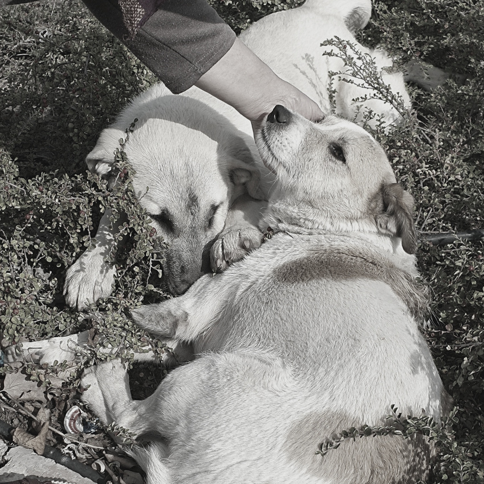 Street фото. Consultation on printing in various magazines, illustrations for books