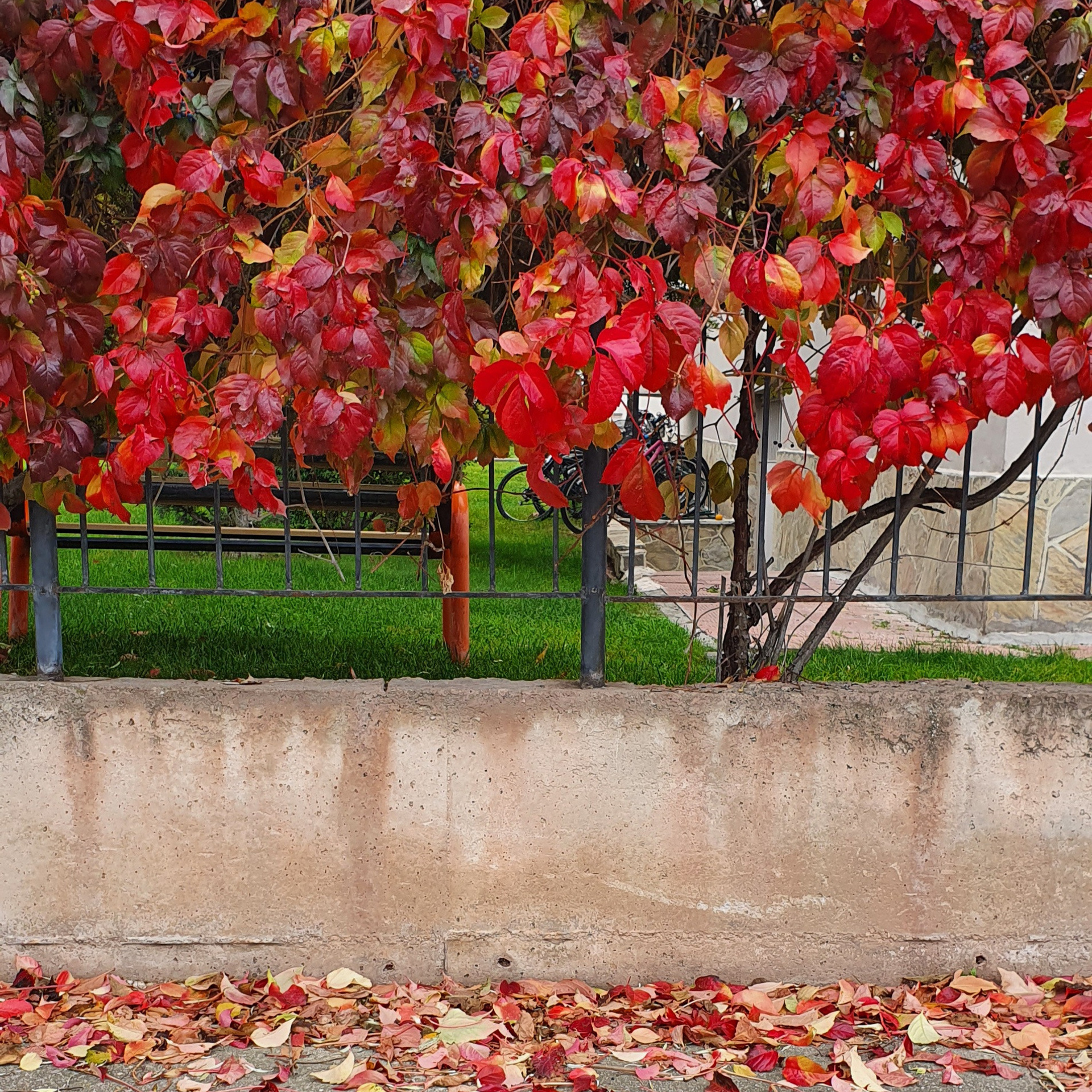 Street фото. Consultation on printing in various magazines, illustrations for books