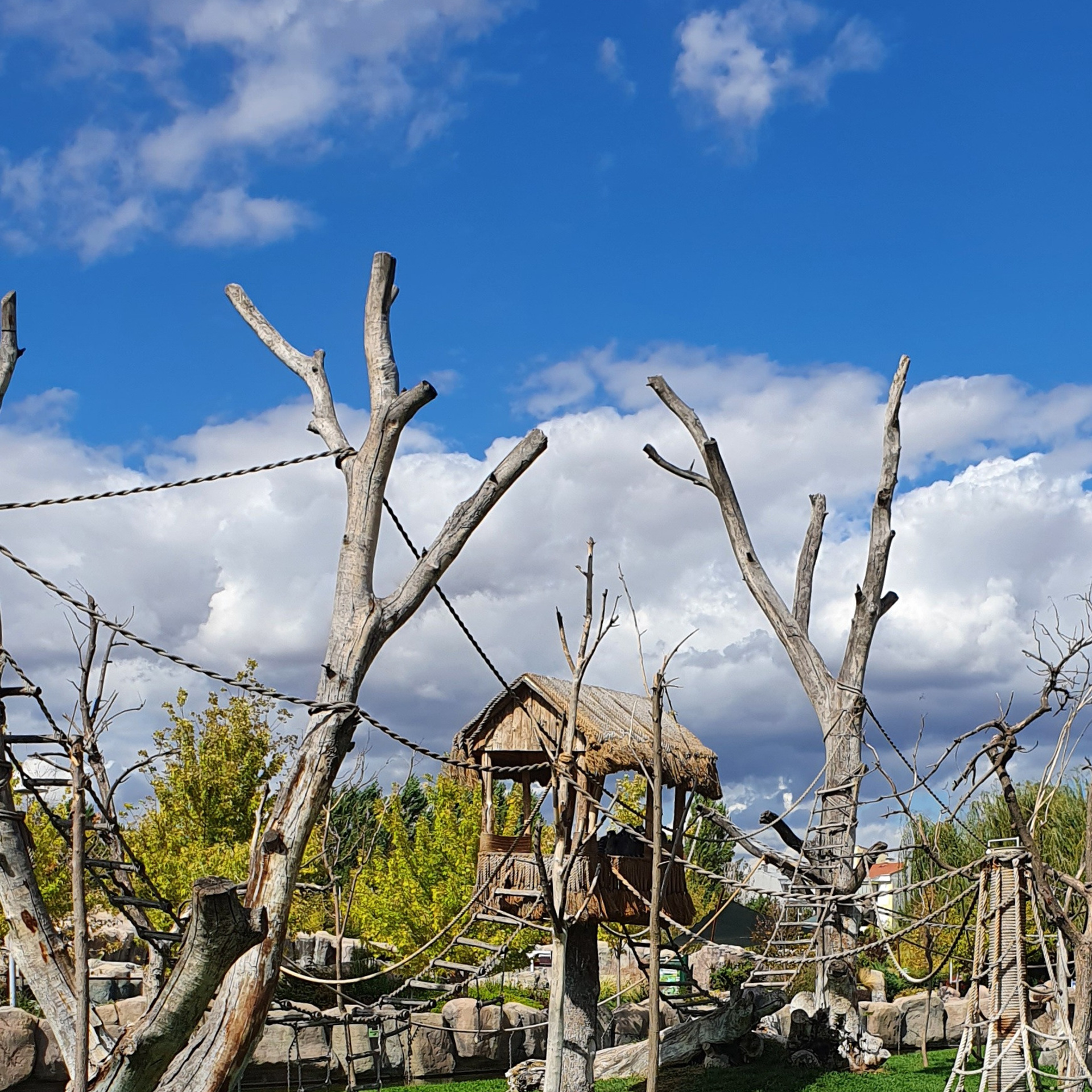 Street фото. Consultation on printing in various magazines, illustrations for books