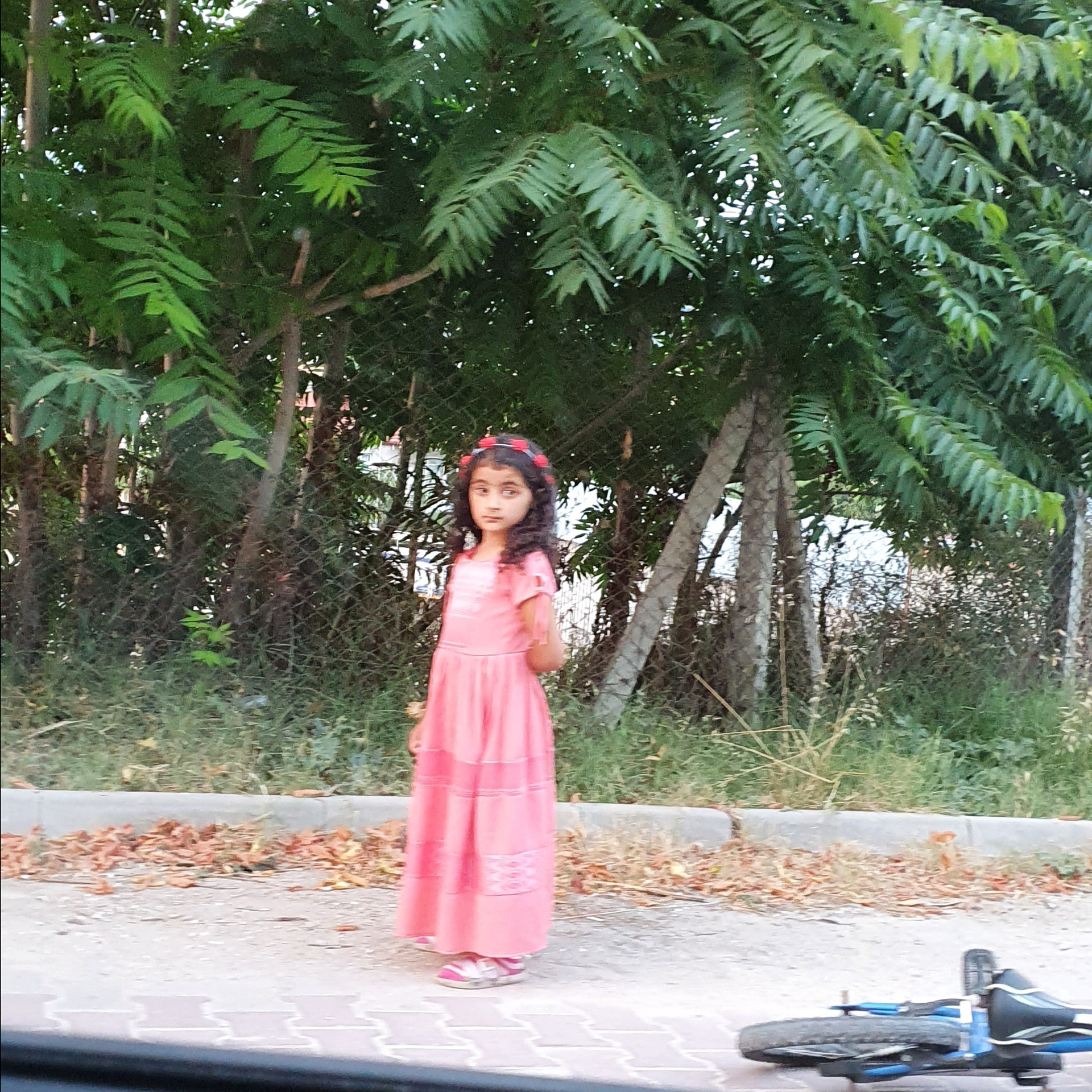 Street фото. Consultation on printing in various magazines, illustrations for books