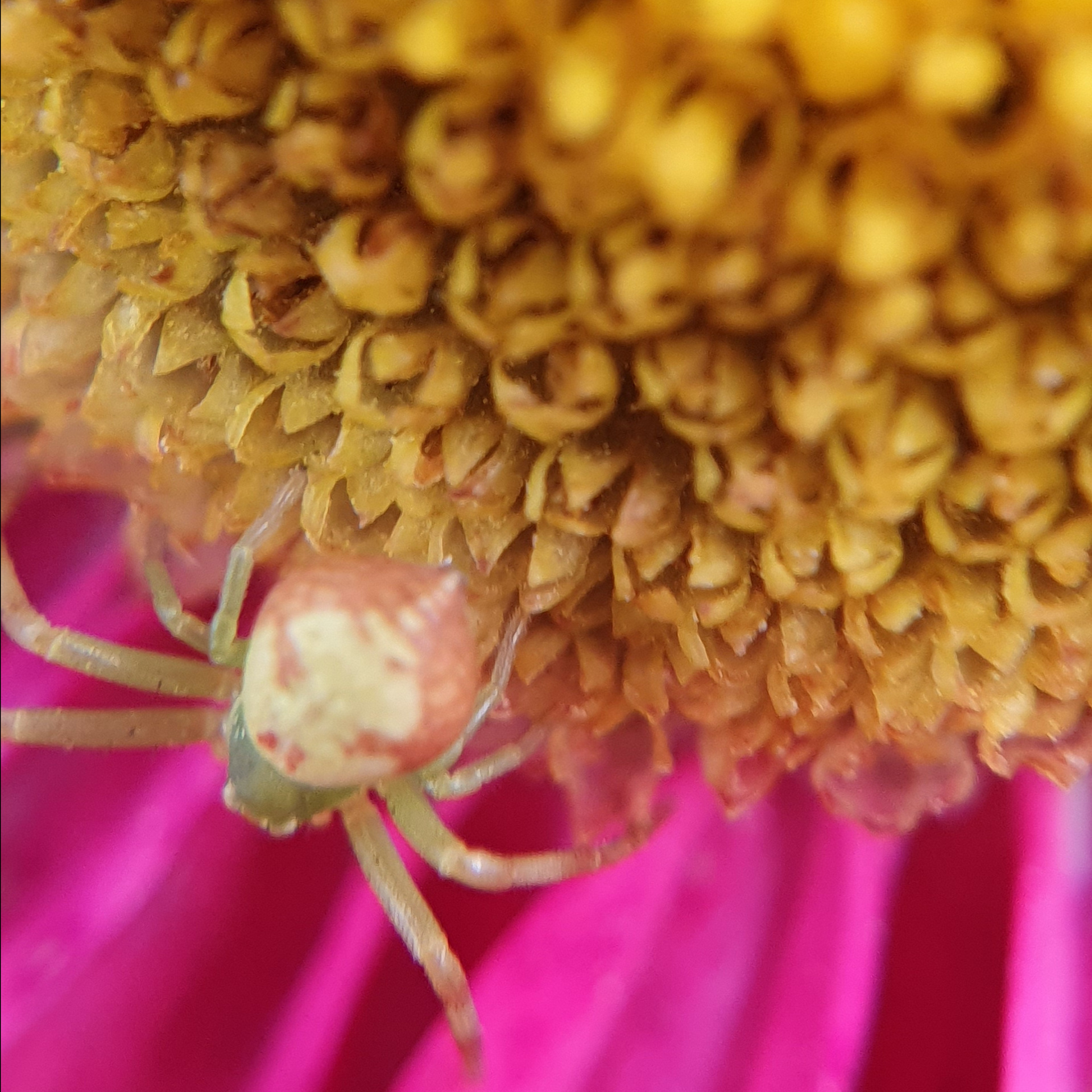 Street фото. Consultation on printing in various magazines, illustrations for books