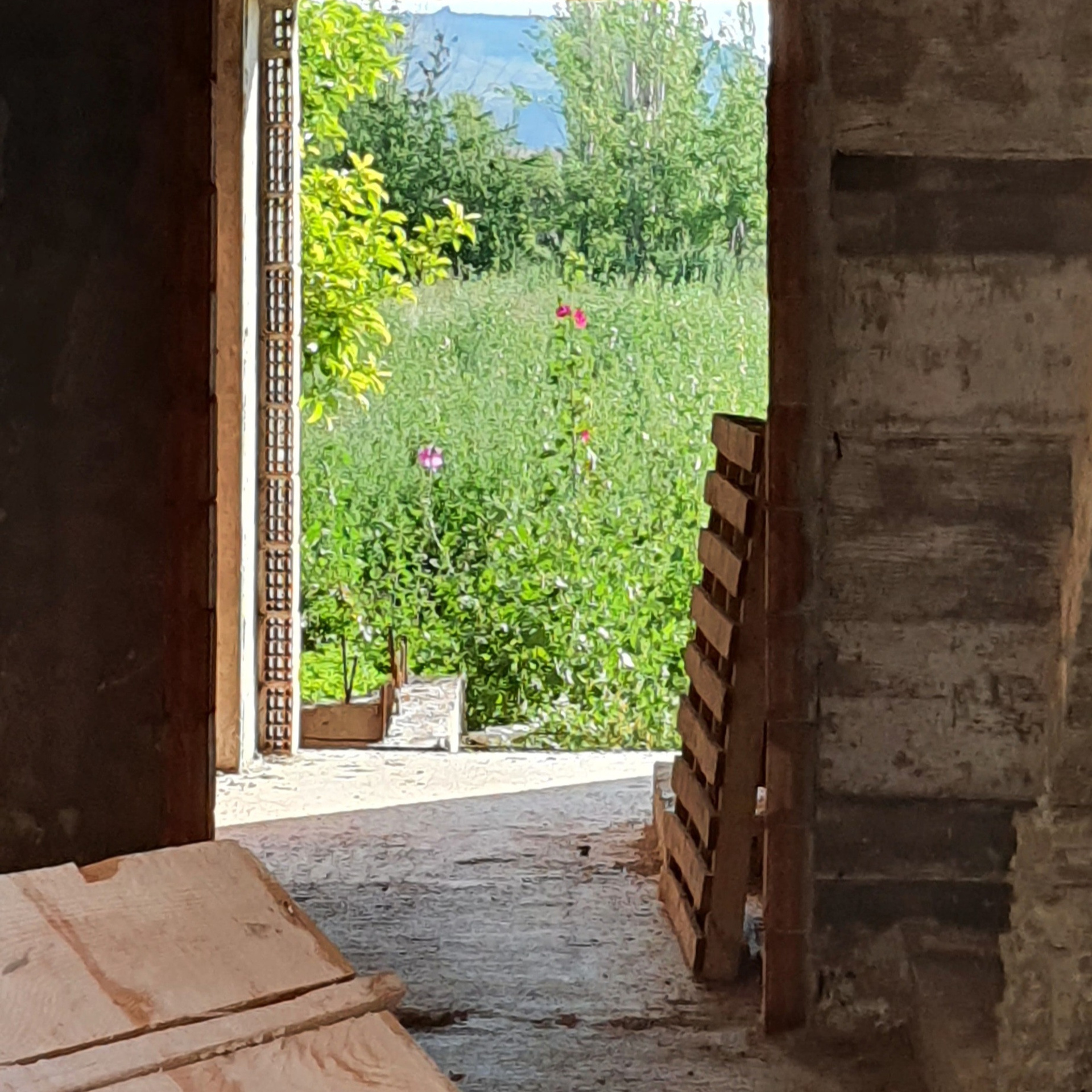 Street фото. Consultation on printing in various magazines, illustrations for books