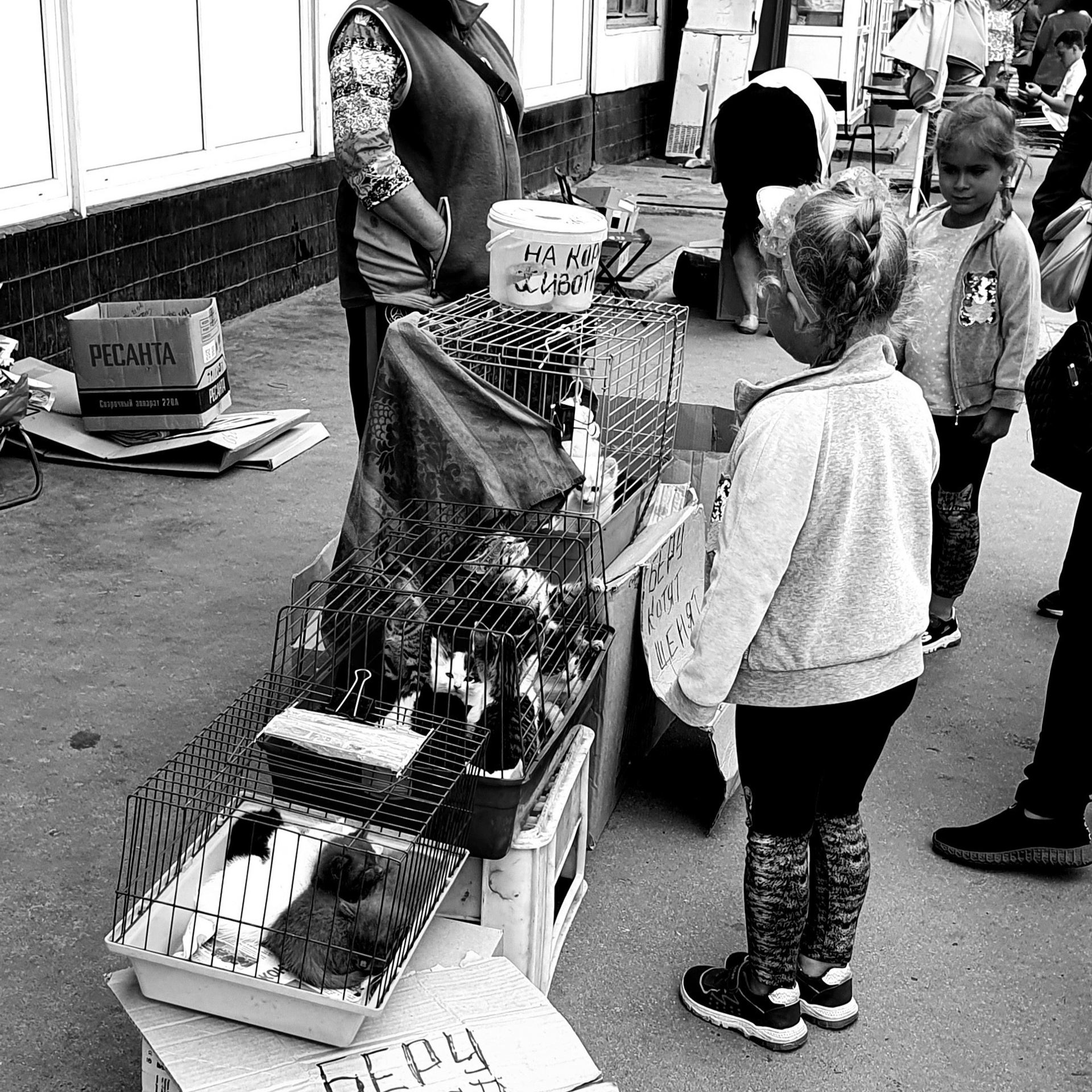 Street фото. Consultation on printing in various magazines, illustrations for books