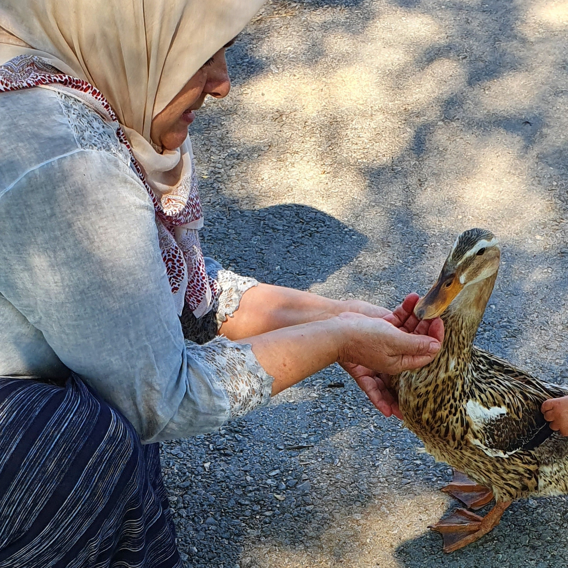 Street фото. Consultation on printing in various magazines, illustrations for books