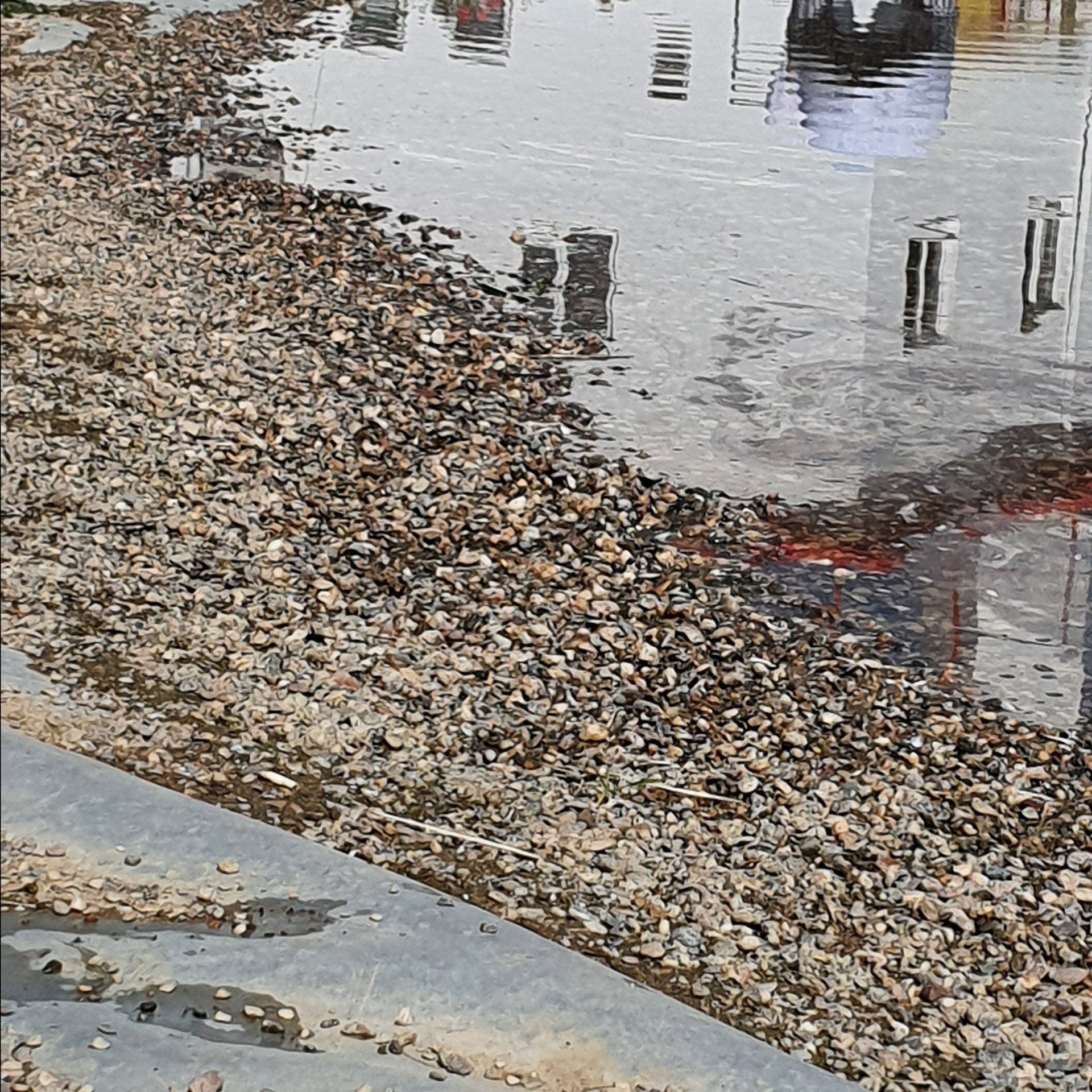 Street фото. Consultation on printing in various magazines, illustrations for books