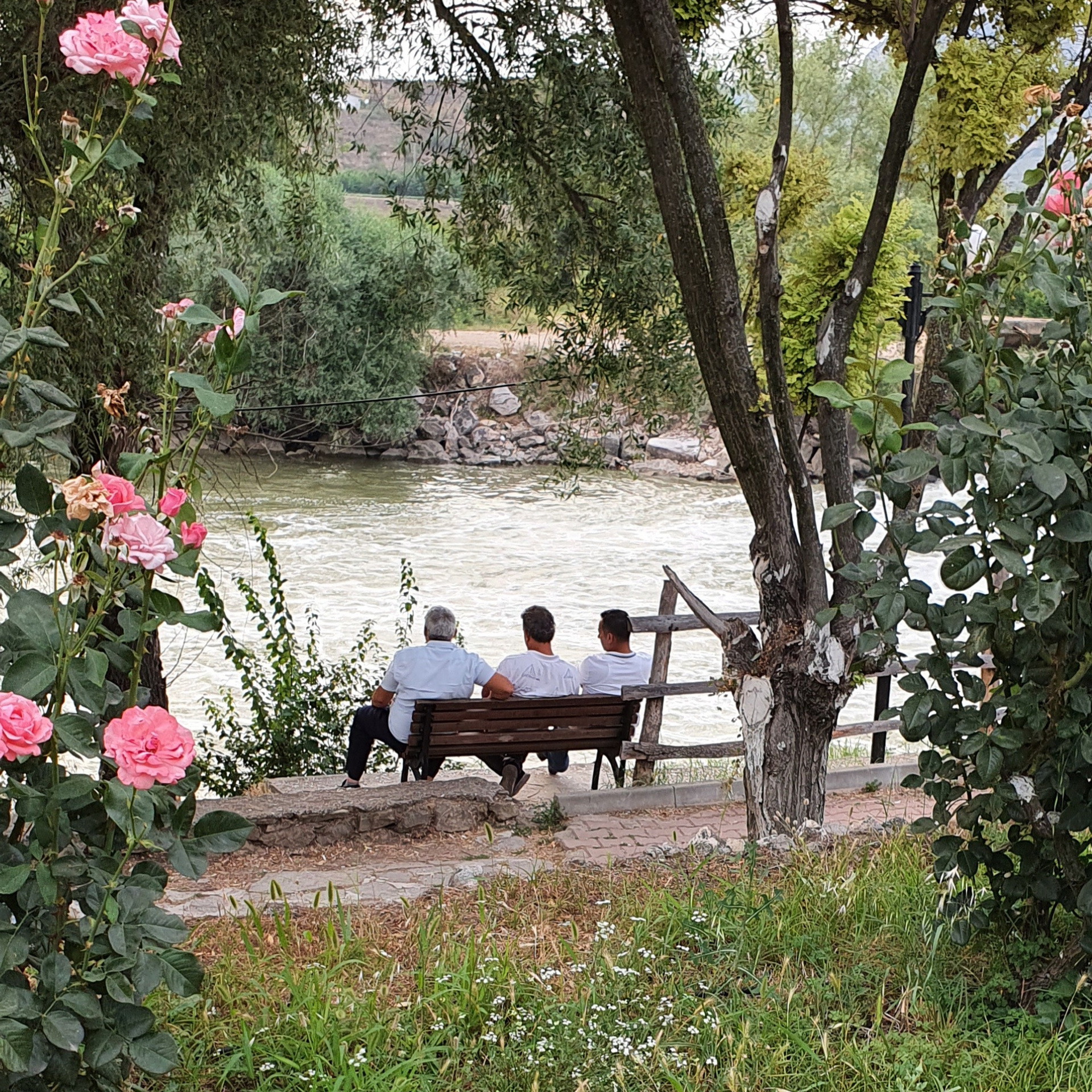 Street фото. Consultation on printing in various magazines, illustrations for books