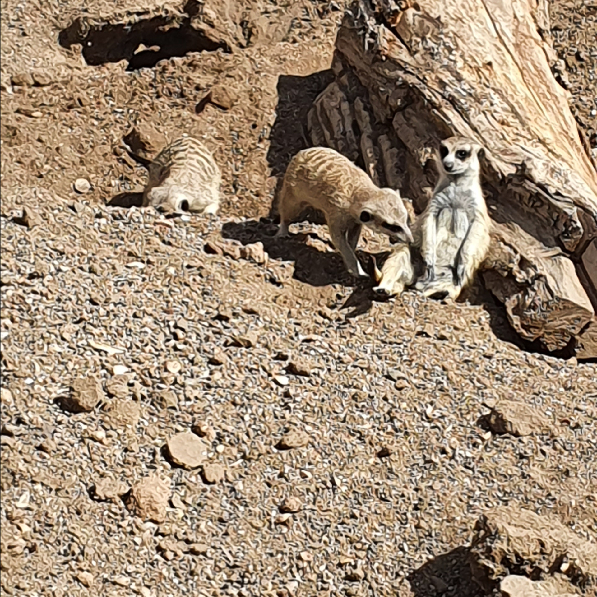 Street фото. Consultation on printing in various magazines, illustrations for books