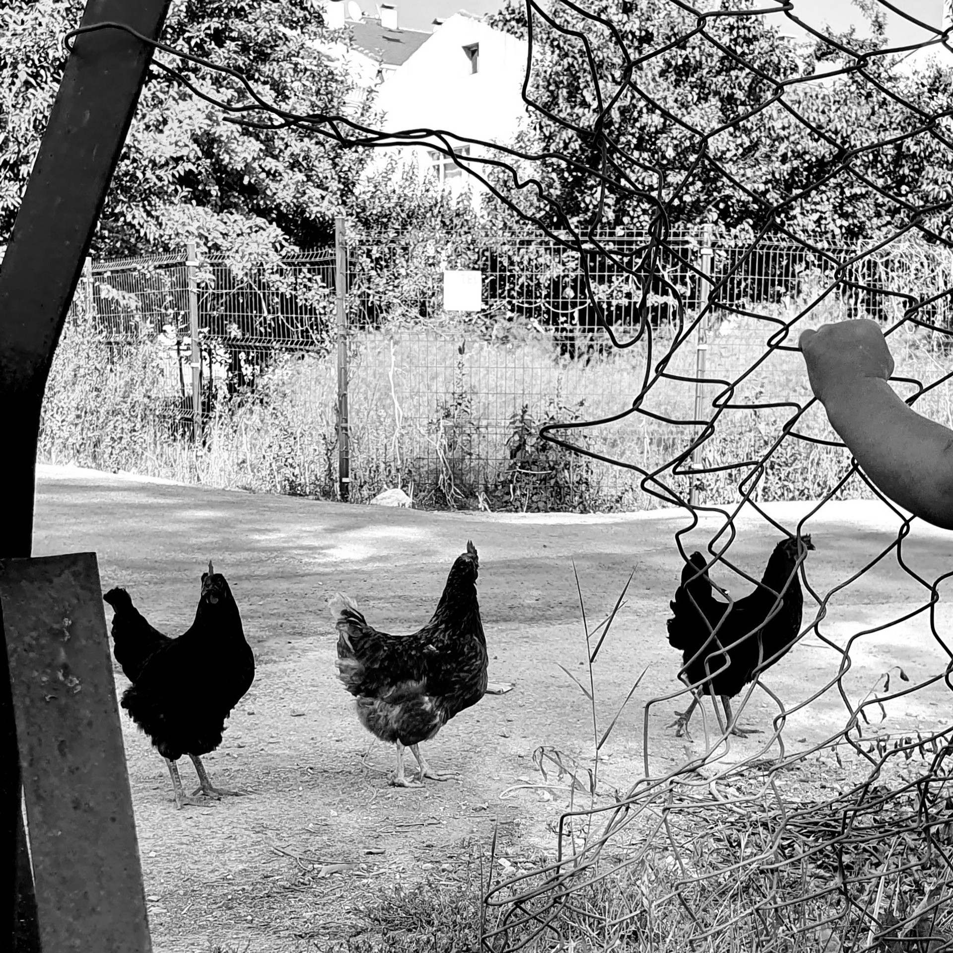 Street фото. Consultation on printing in various magazines, illustrations for books