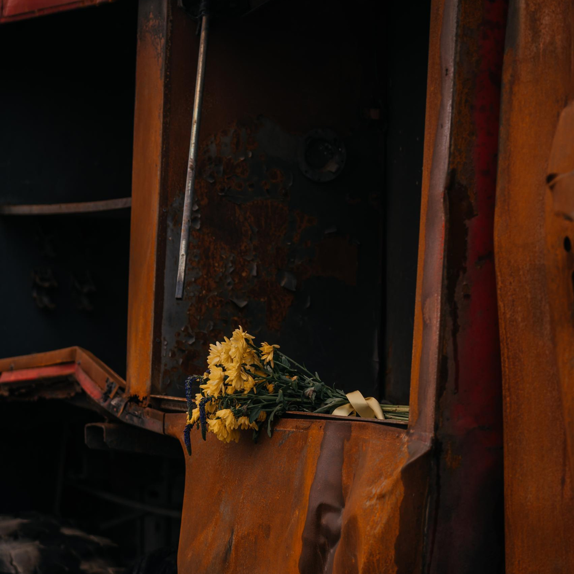 Reviews. Photographer in Luxembourg Tanita