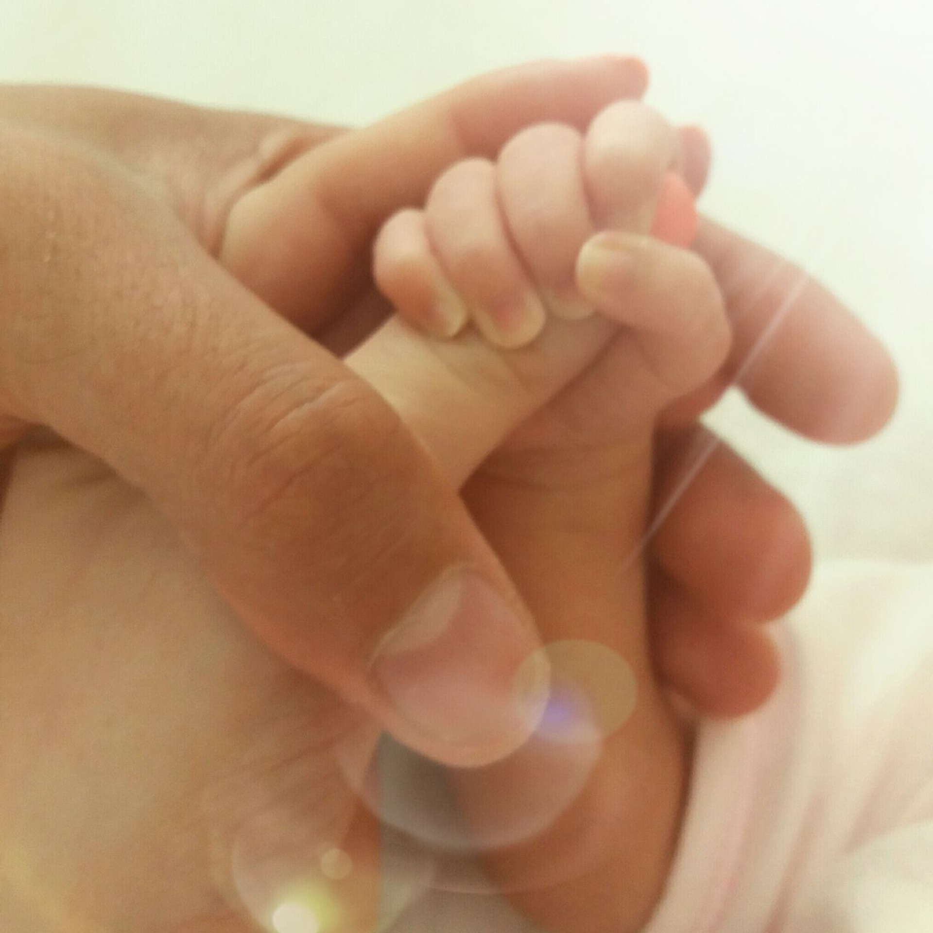 Επαγγελματική φωτογράφιση εγκυμοσύνης και νεογέννητου στη Ρόδο. Φωτογράφος νεογέννητων στη Ρόδο. Φωτογράφιση εγκυμοσύνης