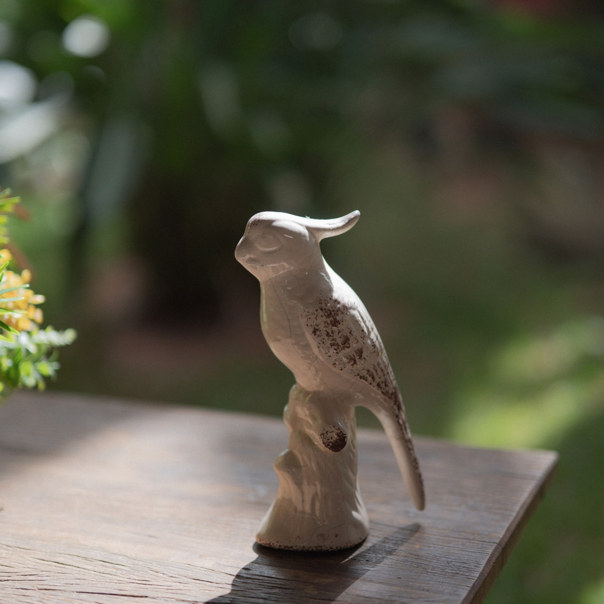 Historia. Fotógrafo de Casamento, grávida, Retrato, Corporativo