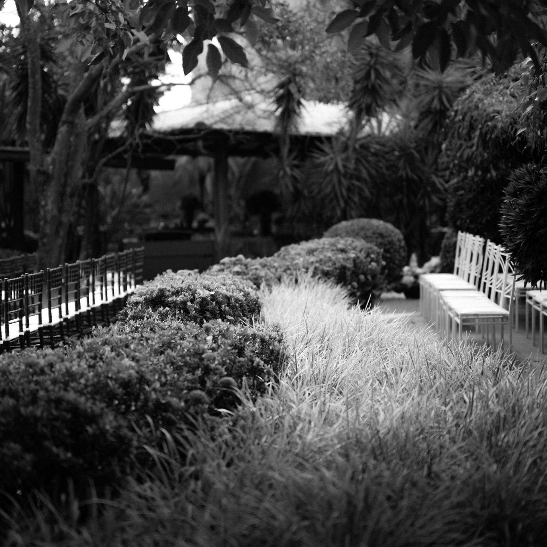 Historia. Fotógrafo de Casamento, grávida, Retrato, Corporativo