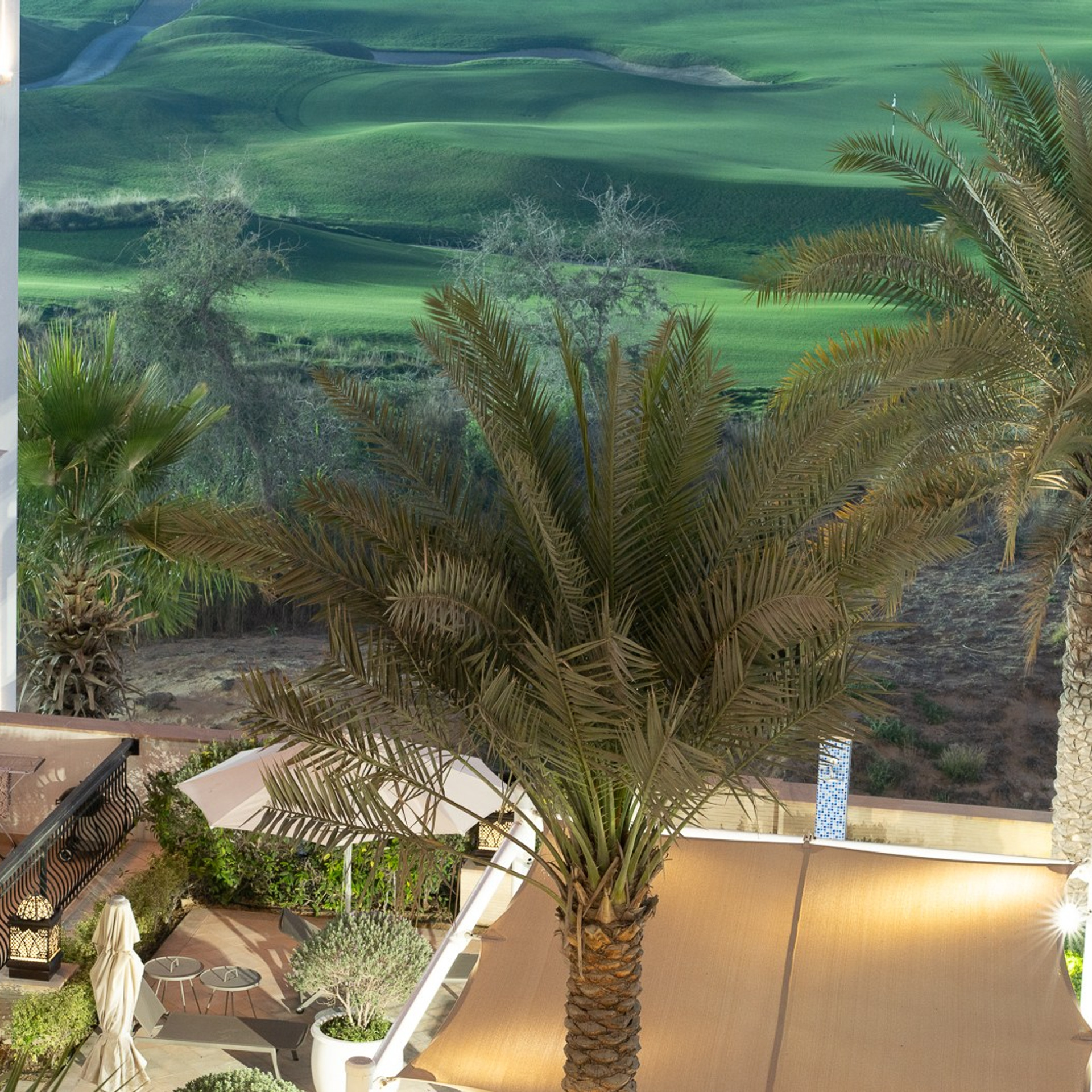 Bürgerreporter & Amateurfotograf in Hannover