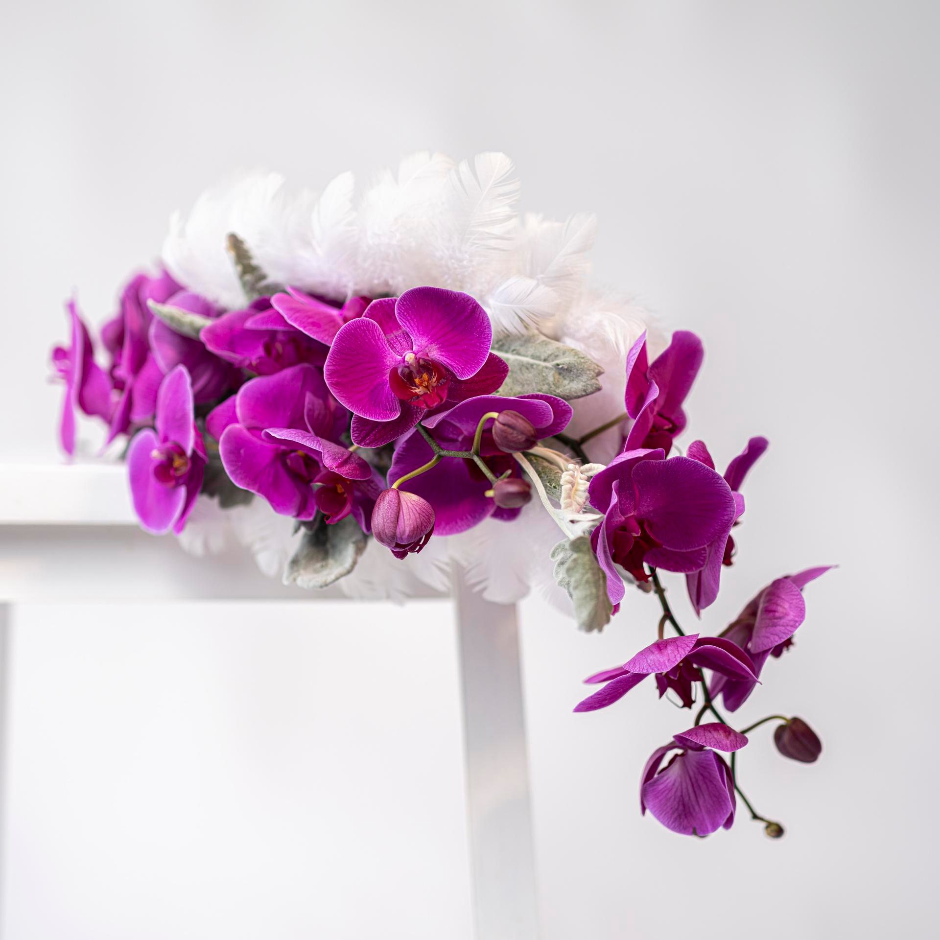 REVIEWS. Florida destination wedding photographer