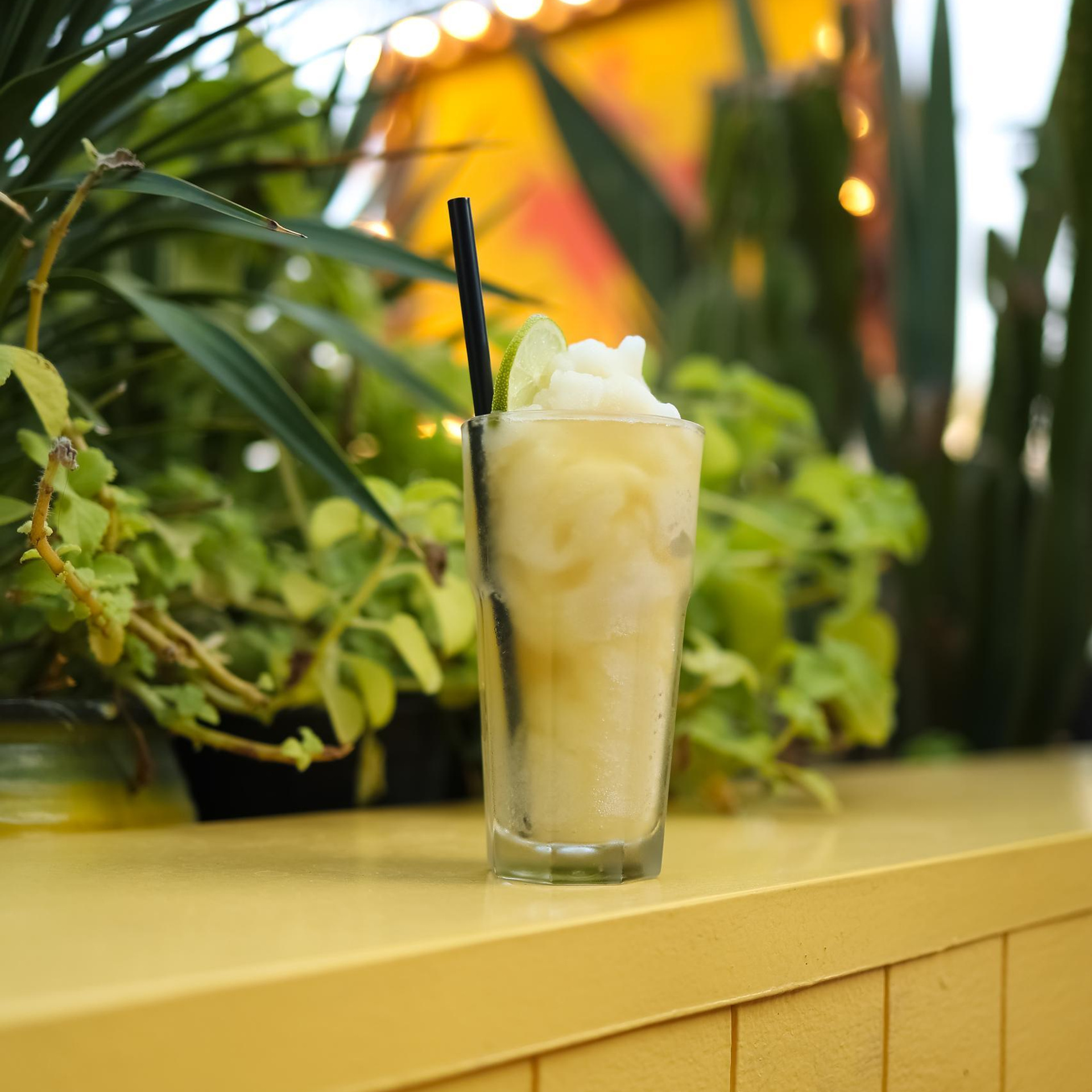 Reviews Venice Photographer. Photographer in Venice, Viktoria Antonova