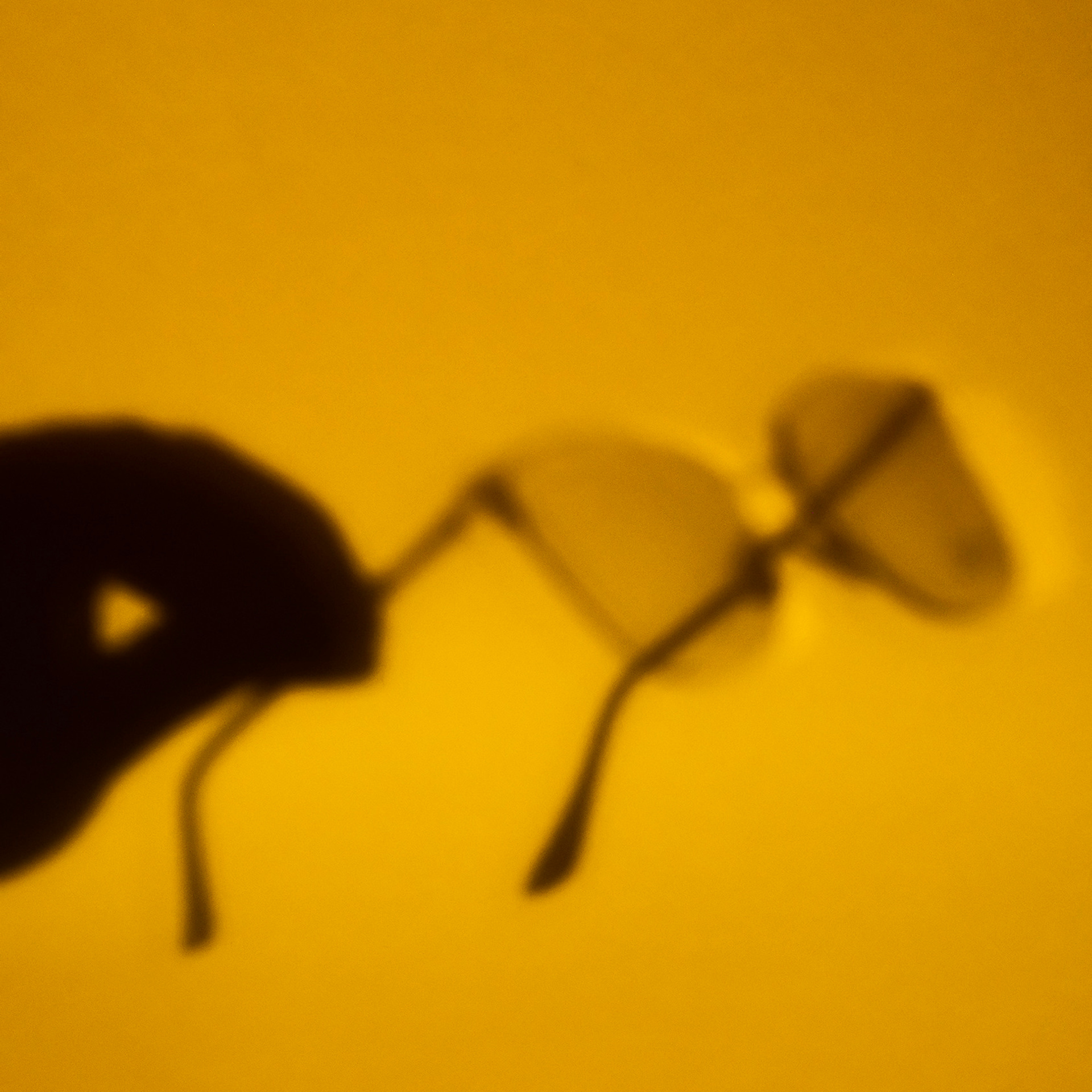 Отзывы. Предметный и индивидуальный фотограф в городе Бишкек, Петров Ратмир